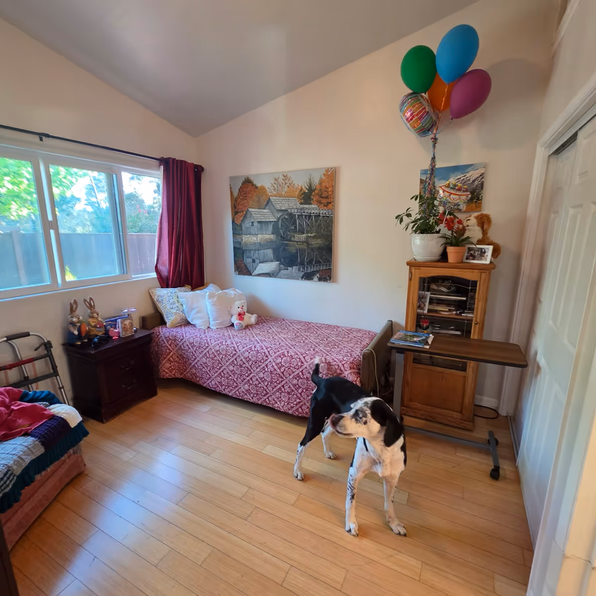 A cozy senior living bedroom with two beds, a dog, balloons, and wooden furniture.