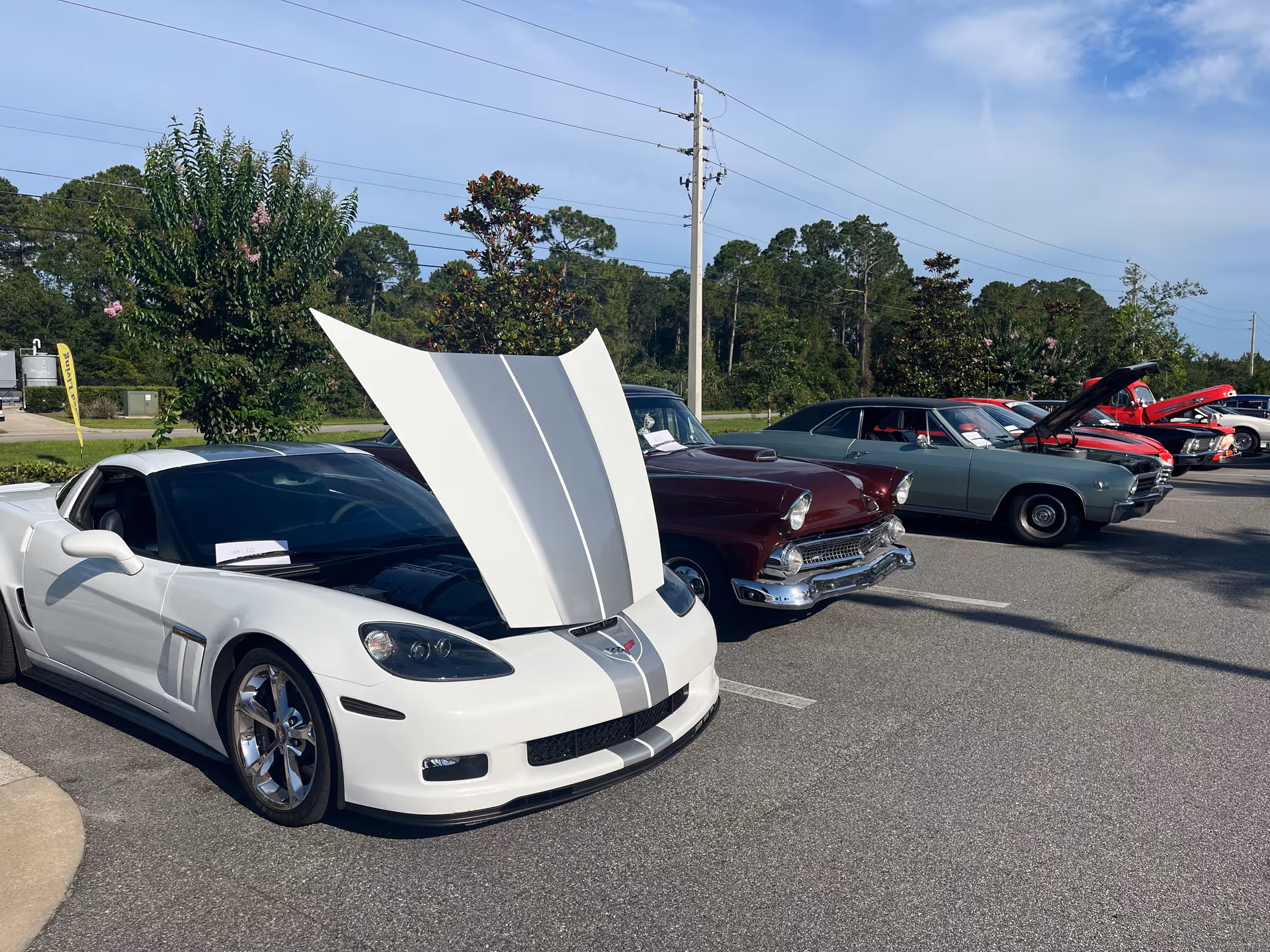 Row of vintage cars with raised hoods in a parking lot, trees in background