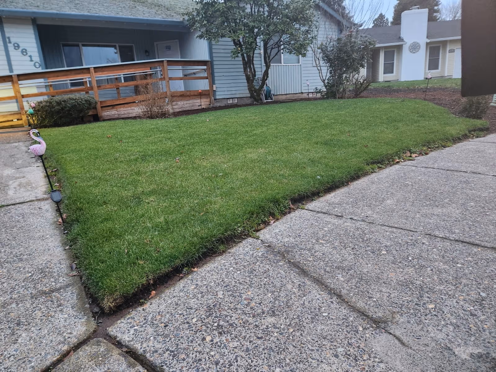 Exterior of Blissful Foster Home with a green lawn and concrete walkway.