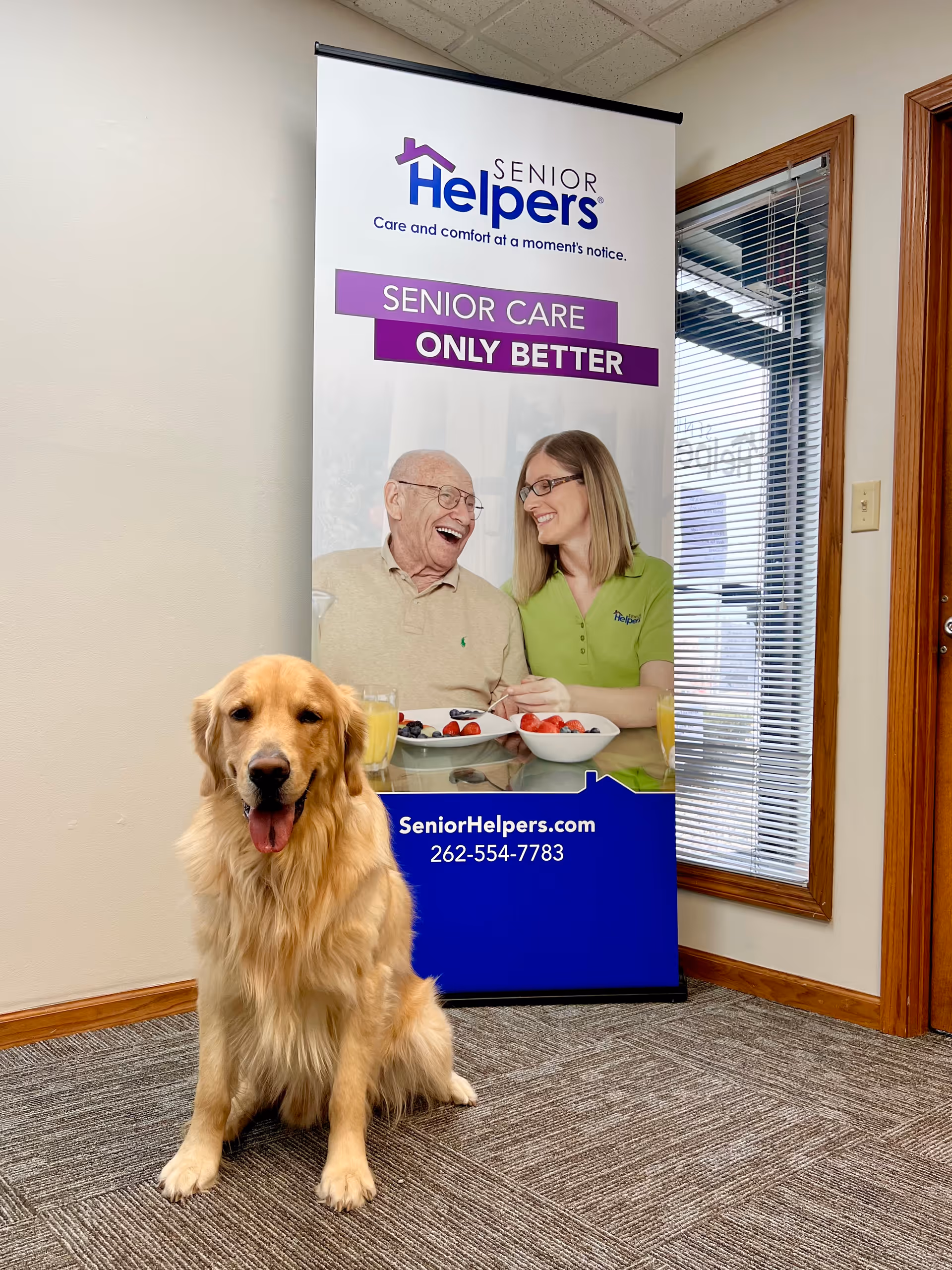 Golden retriever sits in front of a Senior Helpers banner in a hallway.