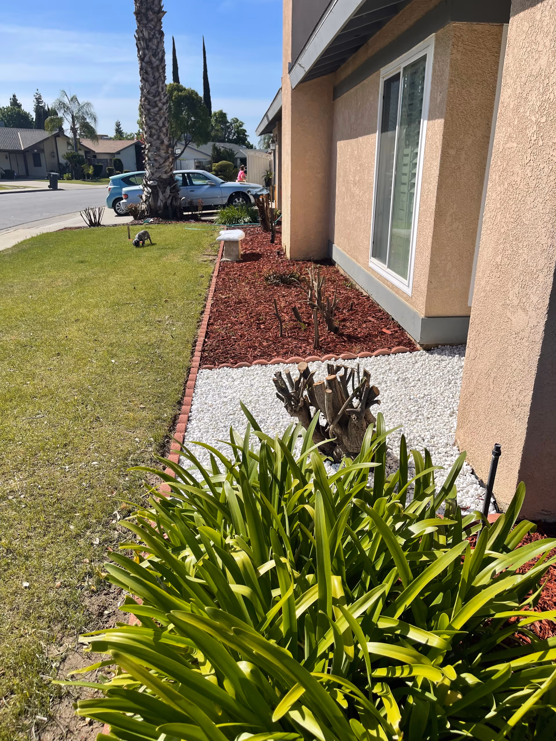 Beige senior living building exterior with landscaped beds, green plants, and a parked car.