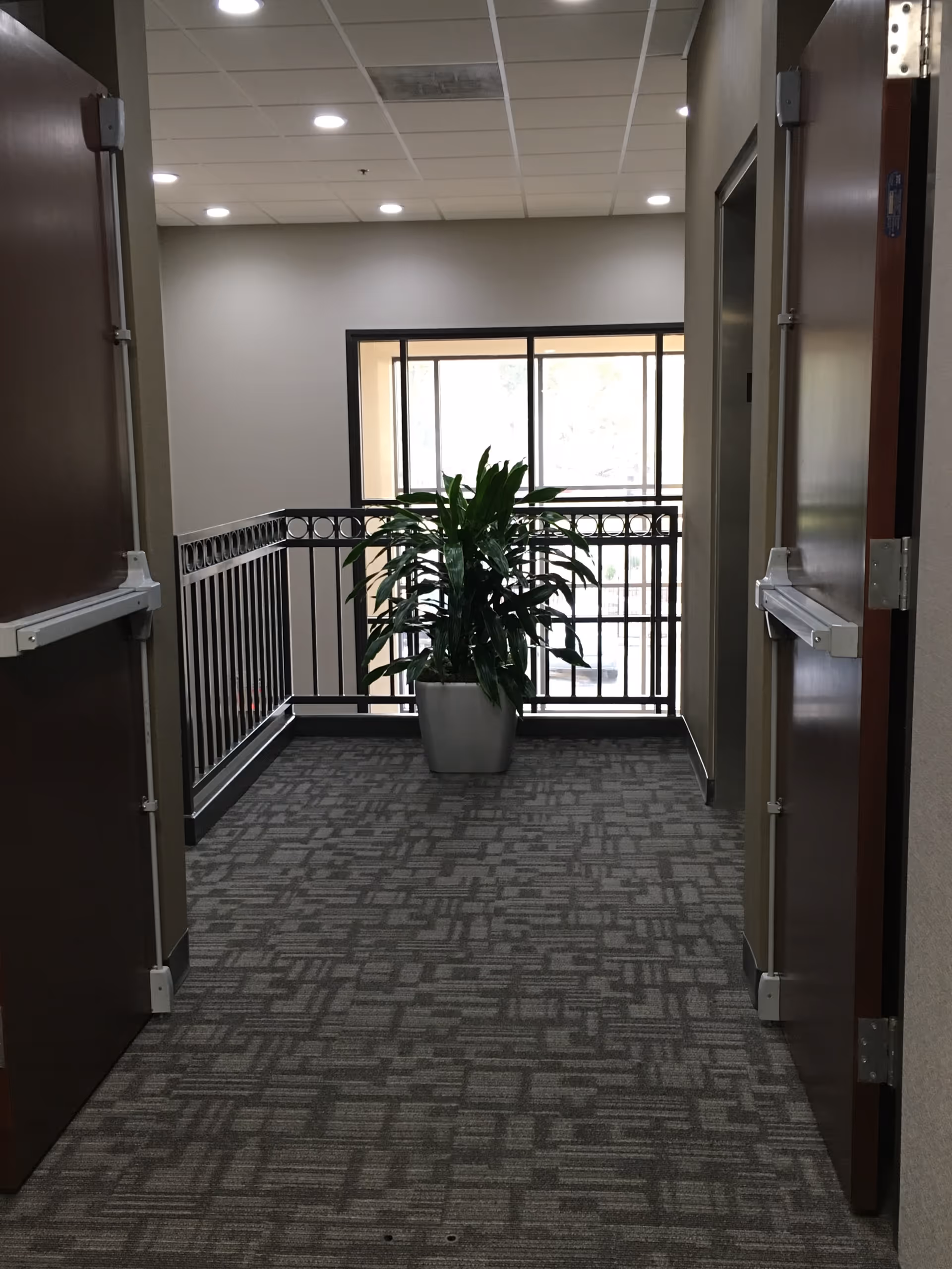 Interior hallway with a large potted plant near the railing and window.