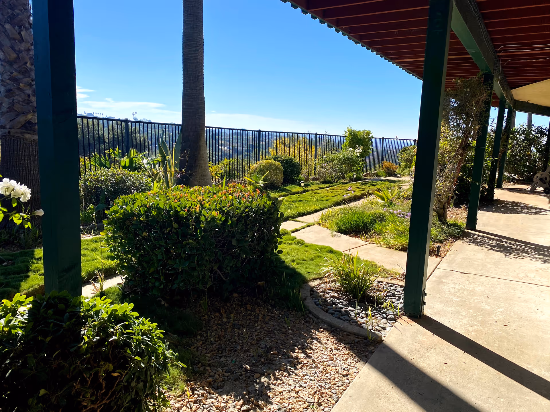 Sunny landscaped garden along a walkway with hedges, plants, and railing.