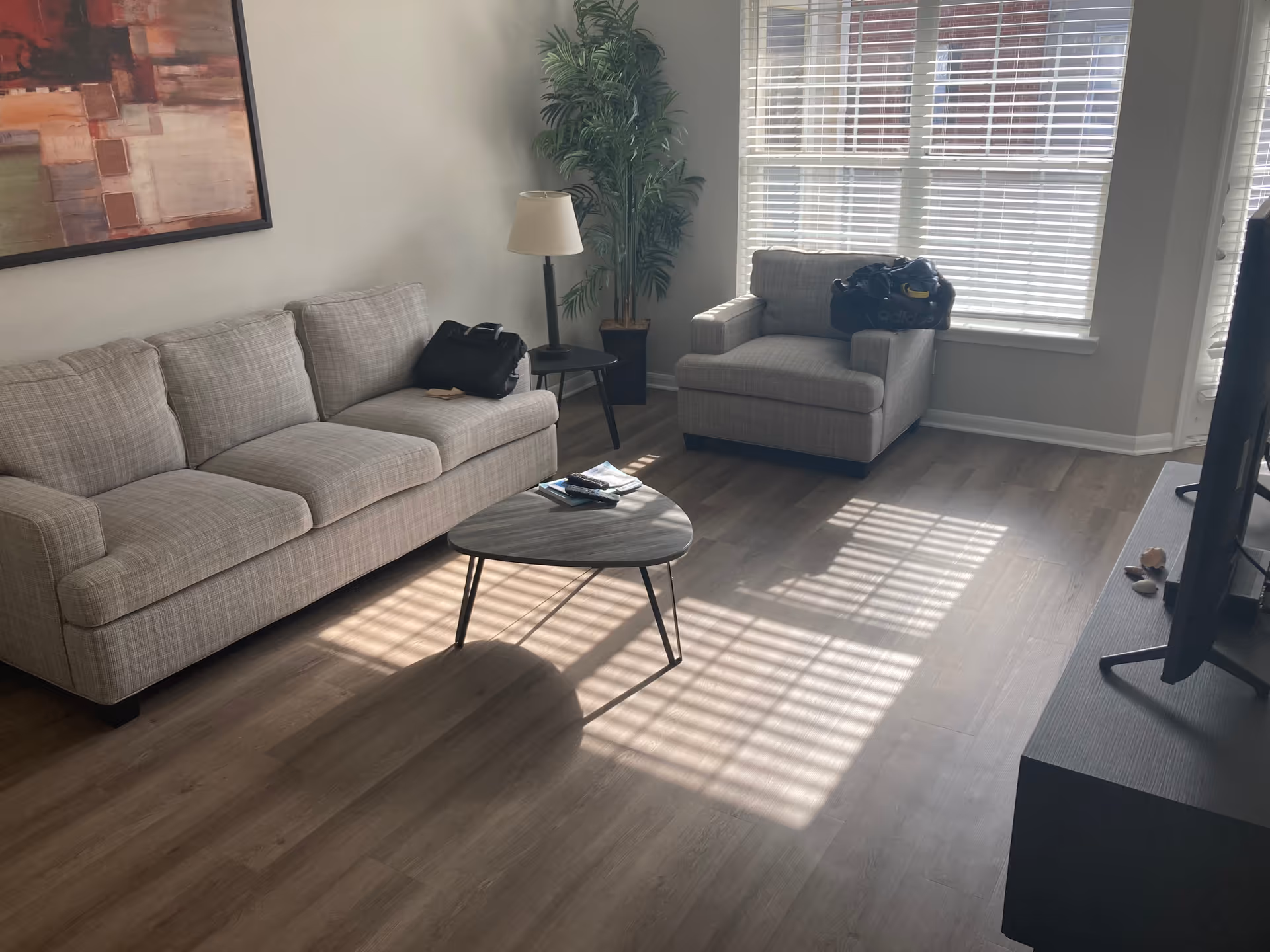 Bright living room with gray sofa, loveseat, coffee table, plant, and sunlight streaming through blinds.