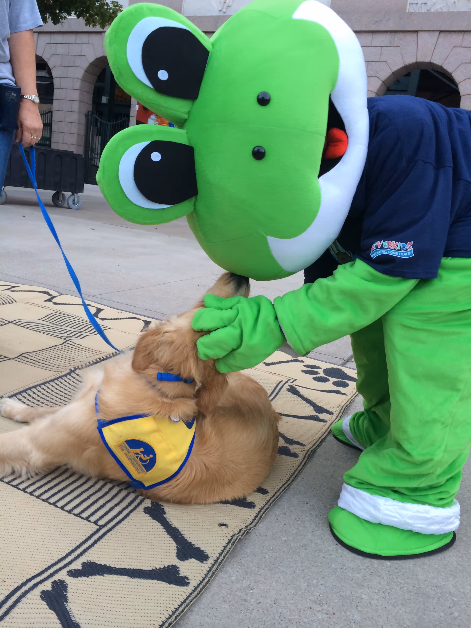A large green mascot pets a golden retriever outdoors on a rug.