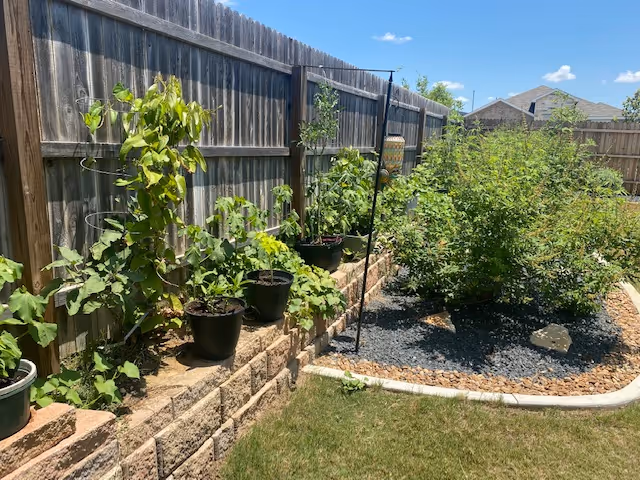 Fenced backyard garden with potted plants beside a brick raised bed.