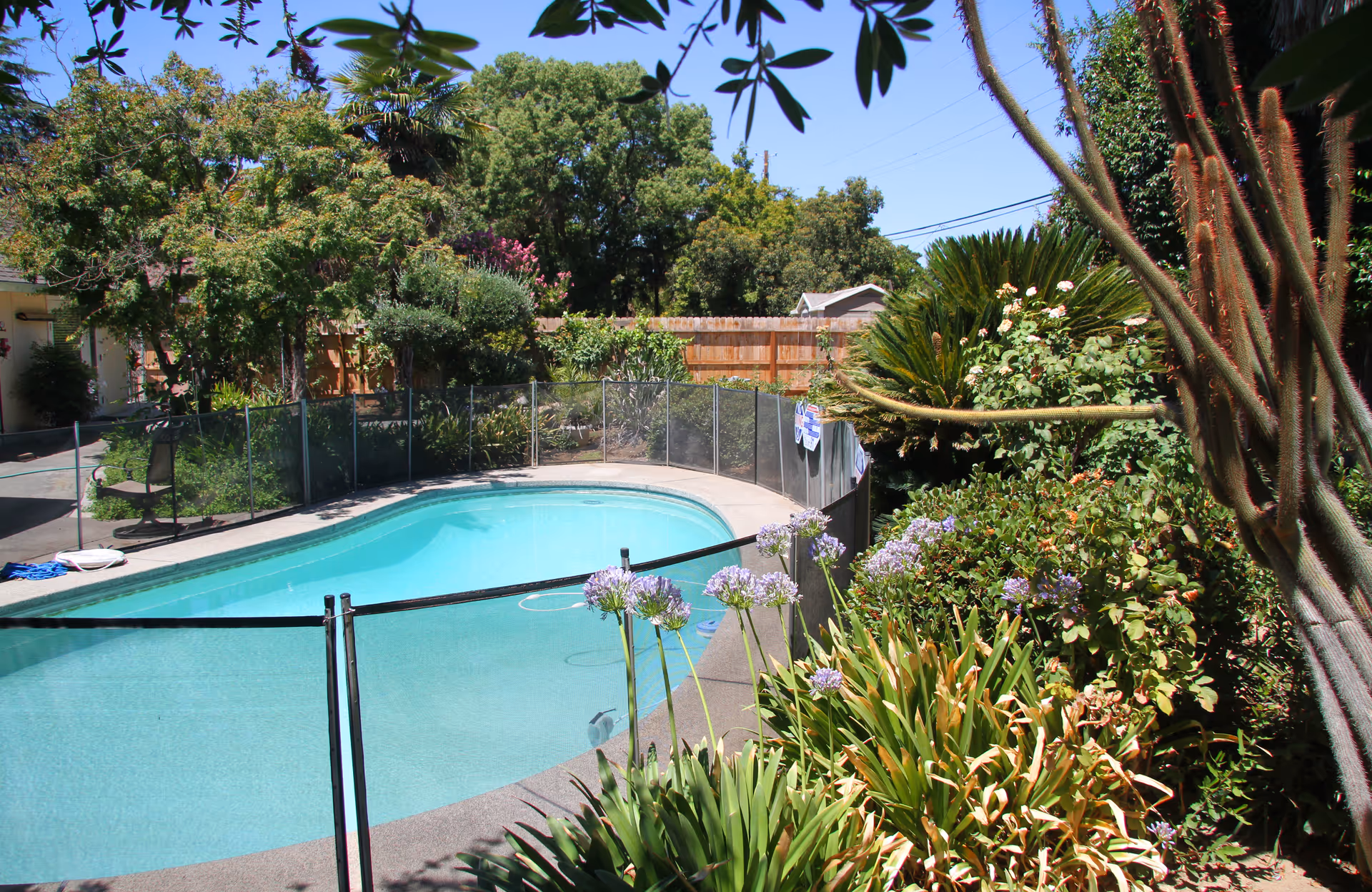 Outdoor pool surrounded by lush plants, fencing, and seating in a sunny courtyard.