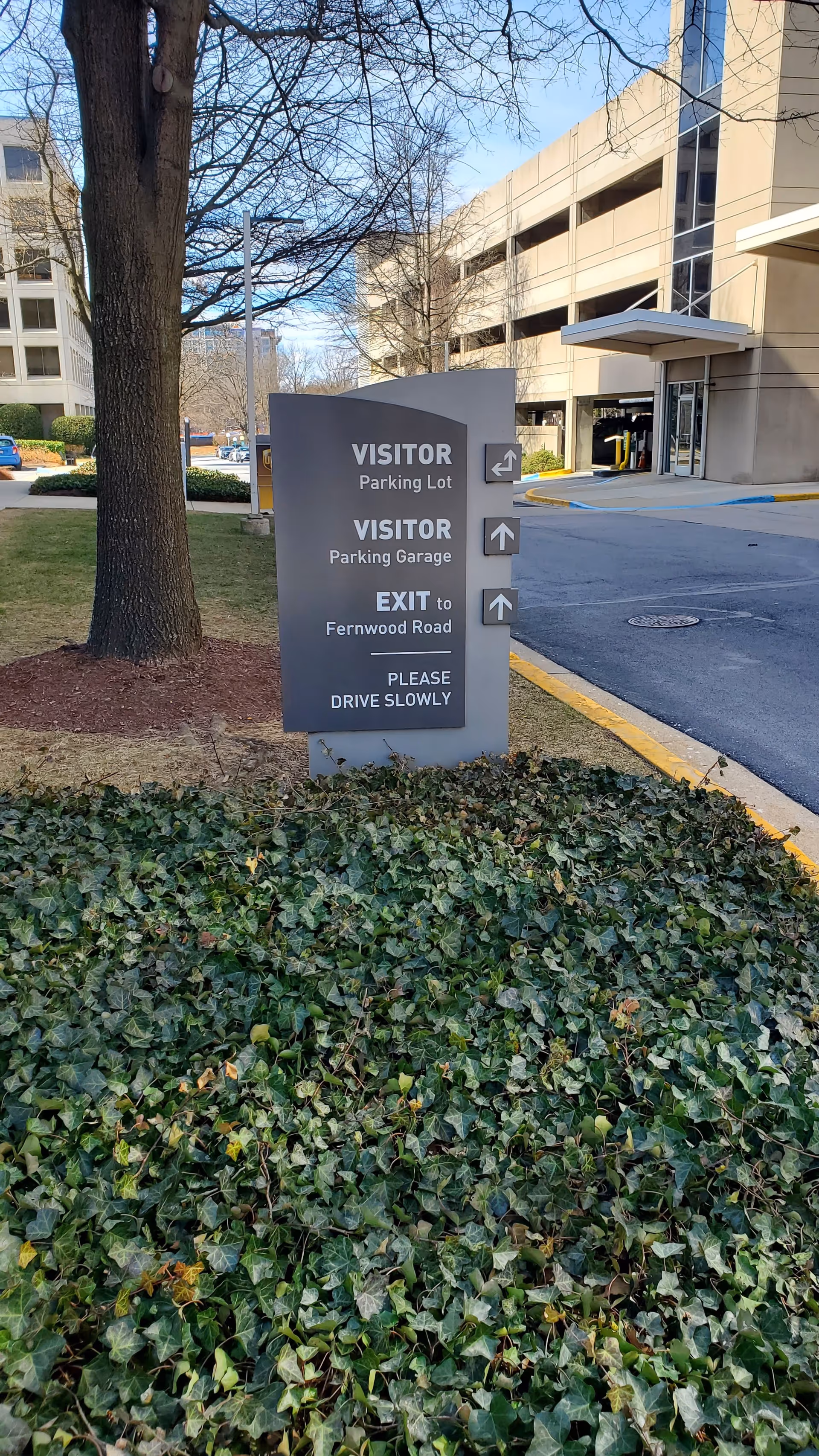 Gray visitor parking sign by a building entrance with ivy and trees.