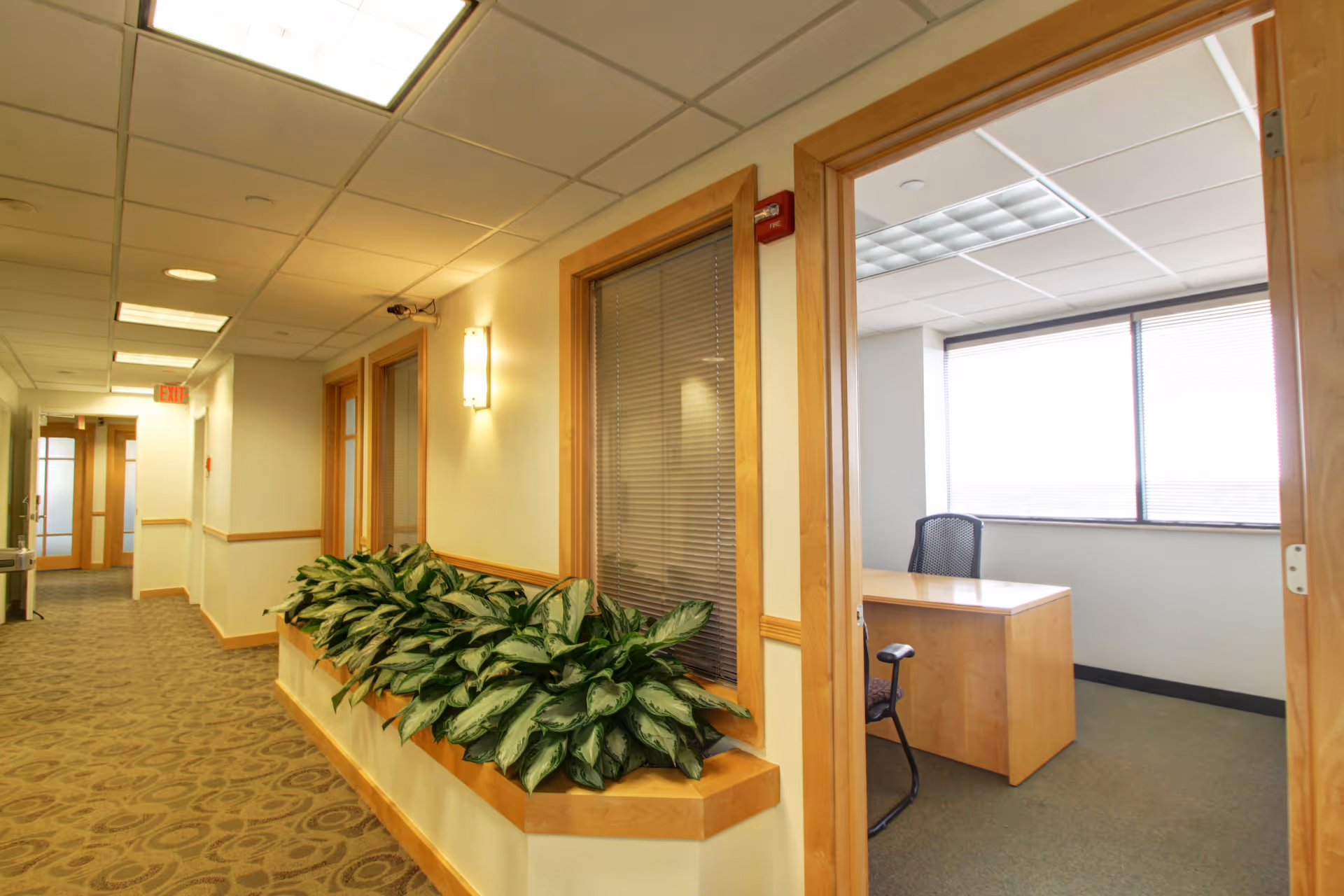 Wide hallway in a senior living facility with potted plants and an office doorway.
