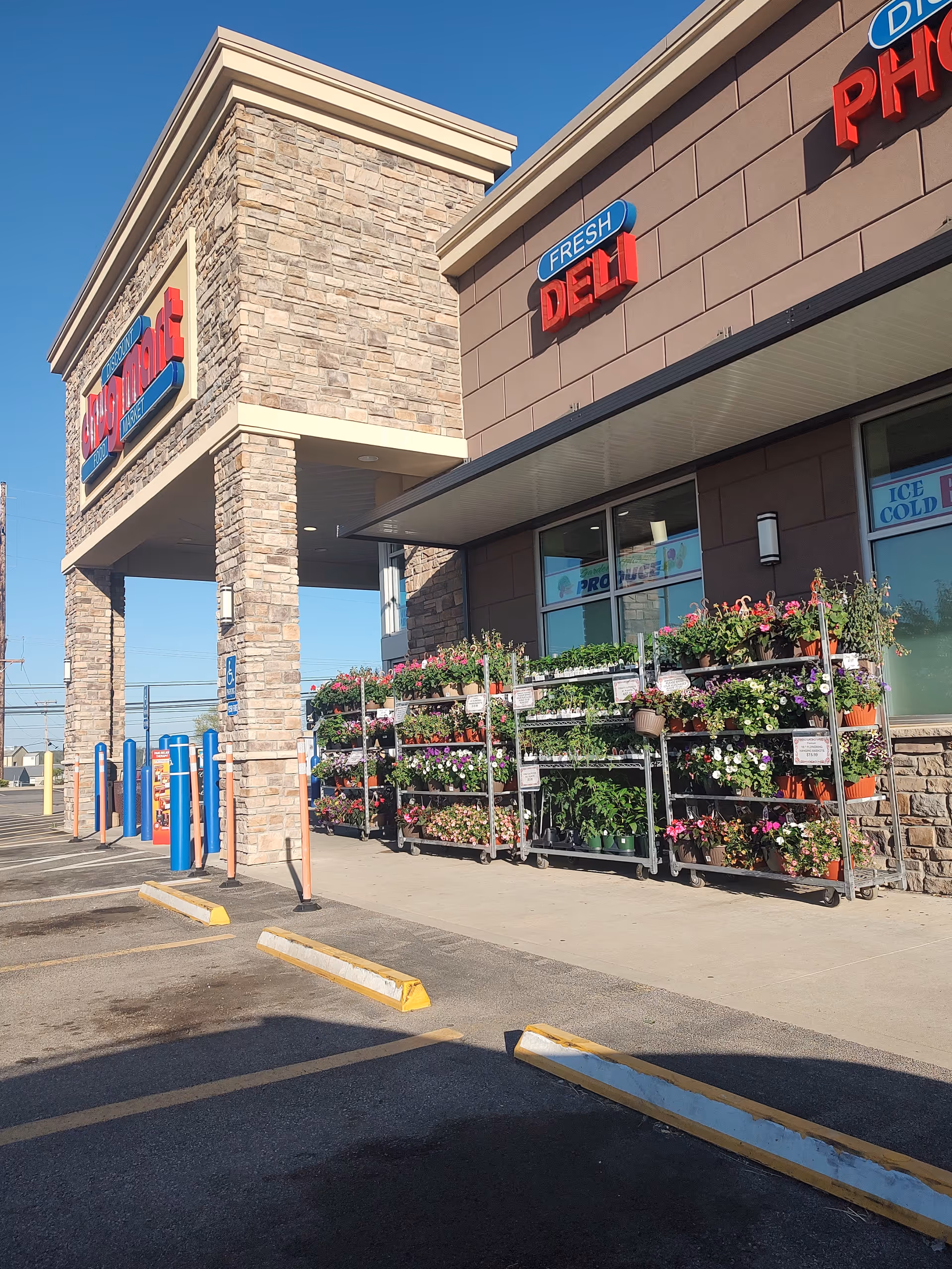Discount Drug Mart storefront with stone facade and flowering plants outside.