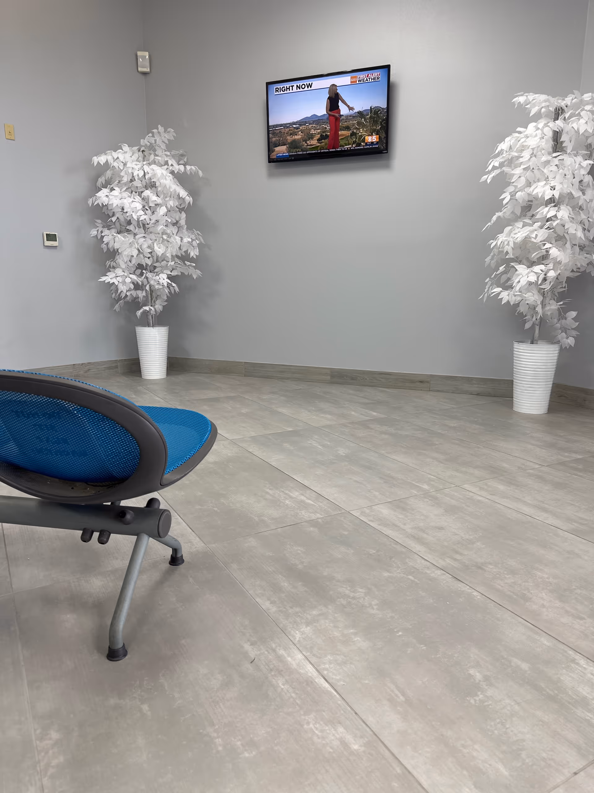 Empty waiting area with a blue chair, two white potted plants, and wall-mounted TV.