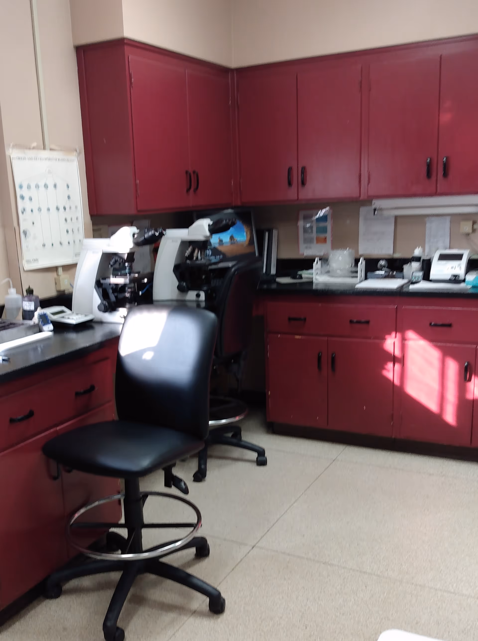 Maroon cabinets line a clinical lab area with microscopes and stools.