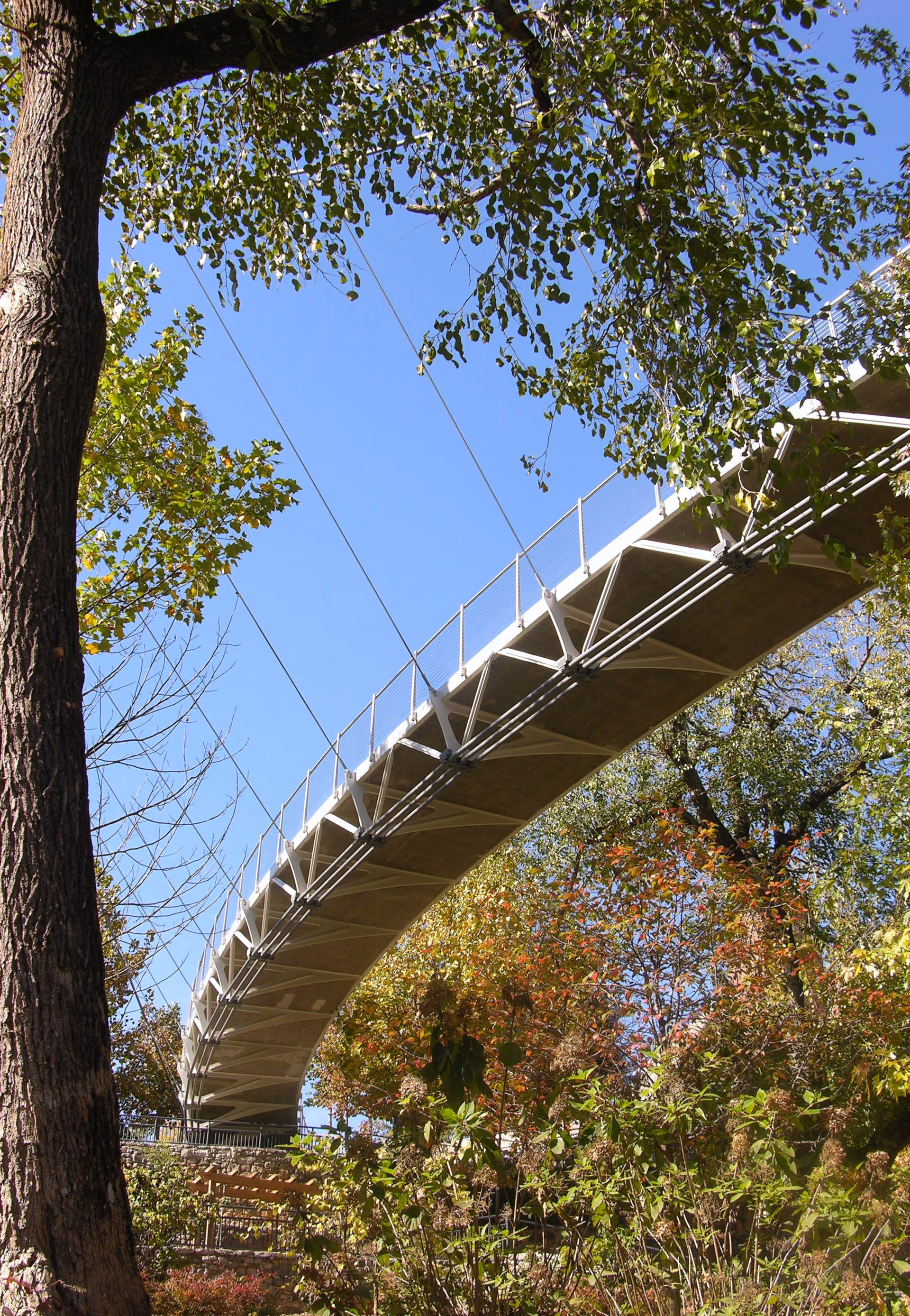 Suspended pedestrian bridge arches over trees under a clear blue sky.