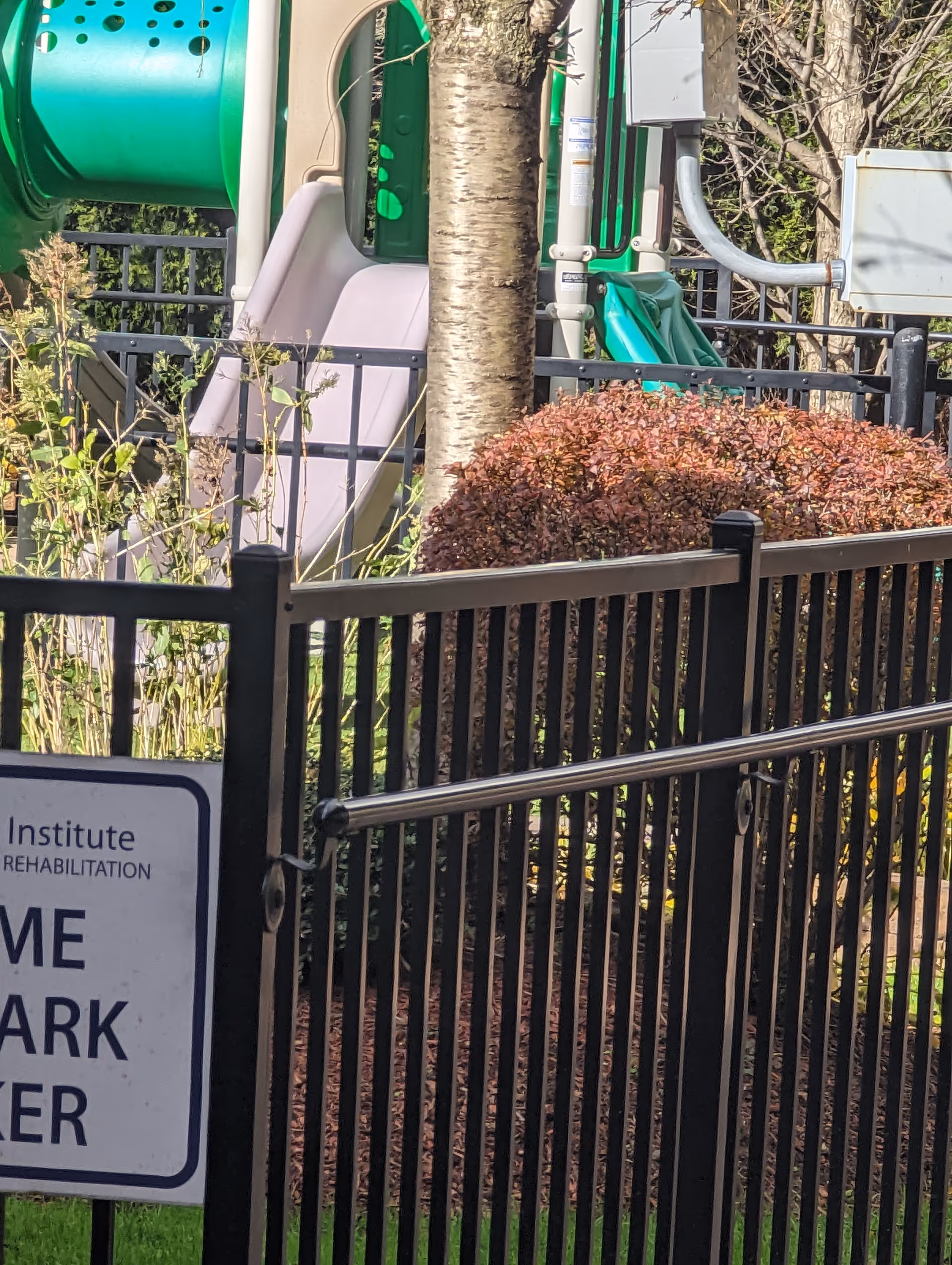 Outdoor view of a playground behind a black railing with shrubs and a tree