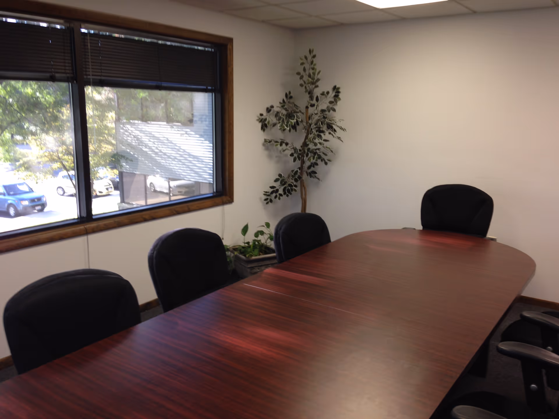 Empty conference room with a long wooden table, black chairs, window, and plant.