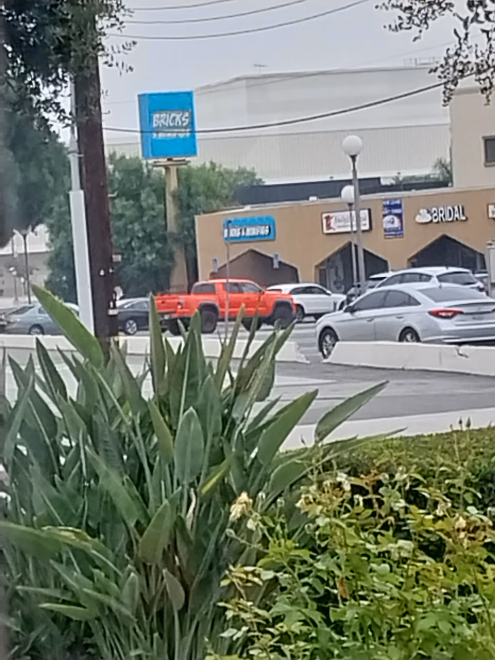 Exterior view of a beige commercial building with blue sign, parked cars, and plants in foreground.