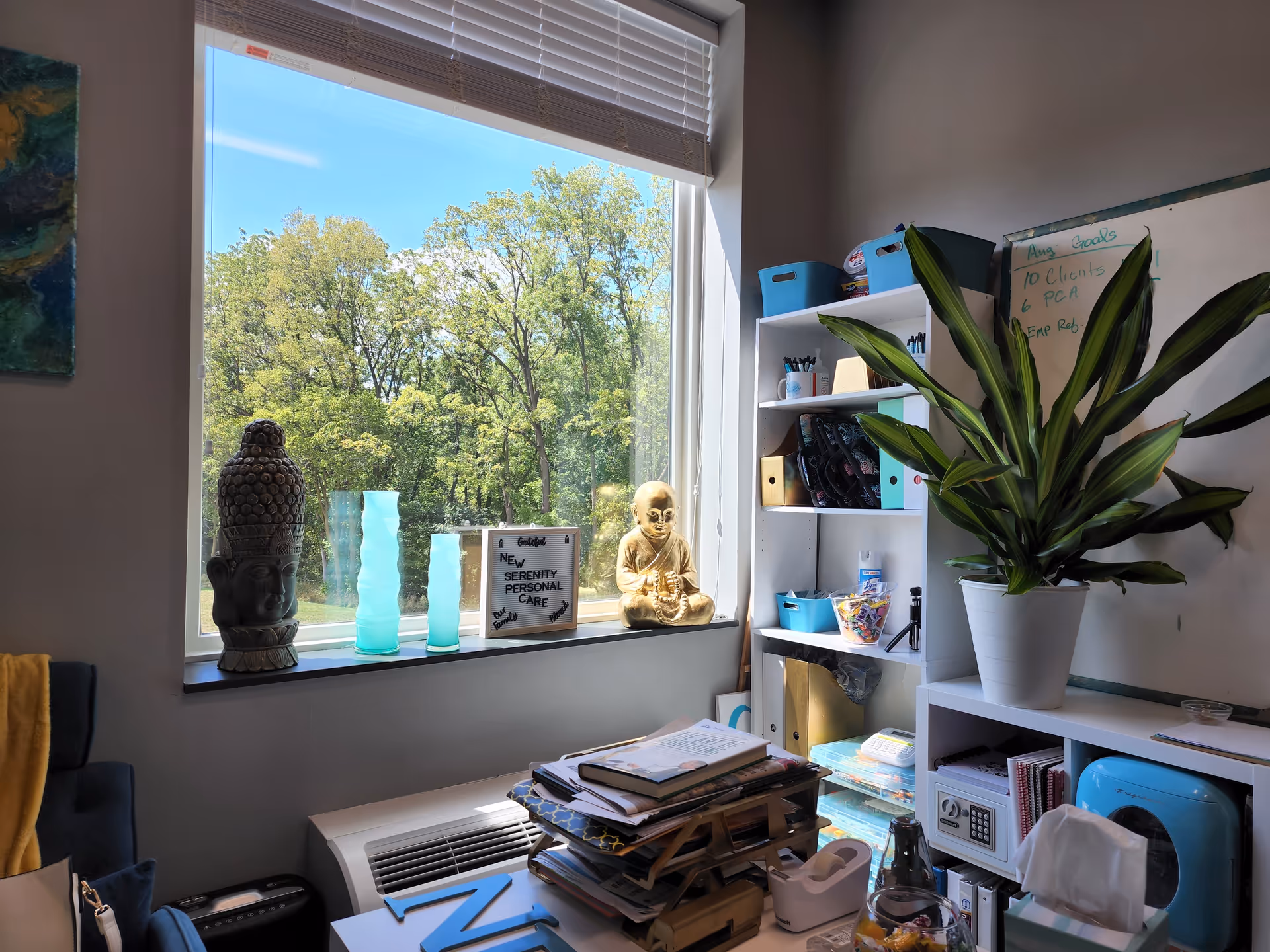 Office-like room with large window, shelves, plant, and sign reading New Serenity Personal Care.