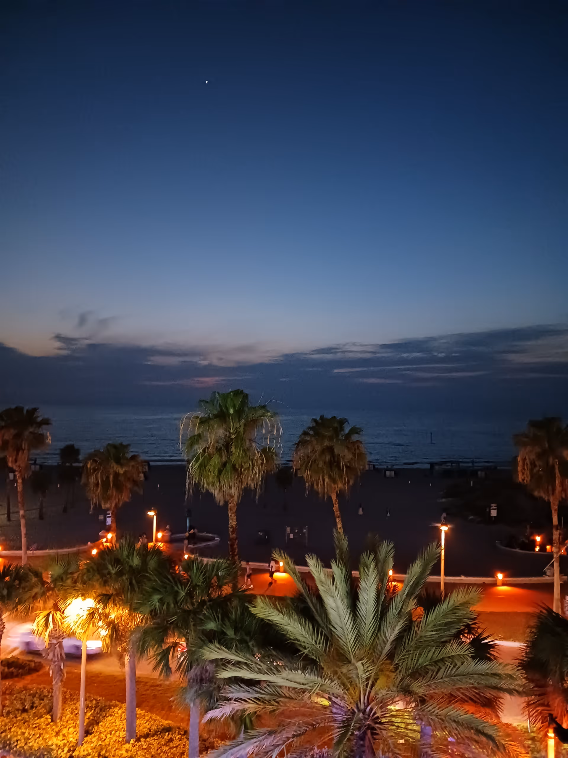 Evening view of palm trees, lit pathway, and a beachfront by the ocean.