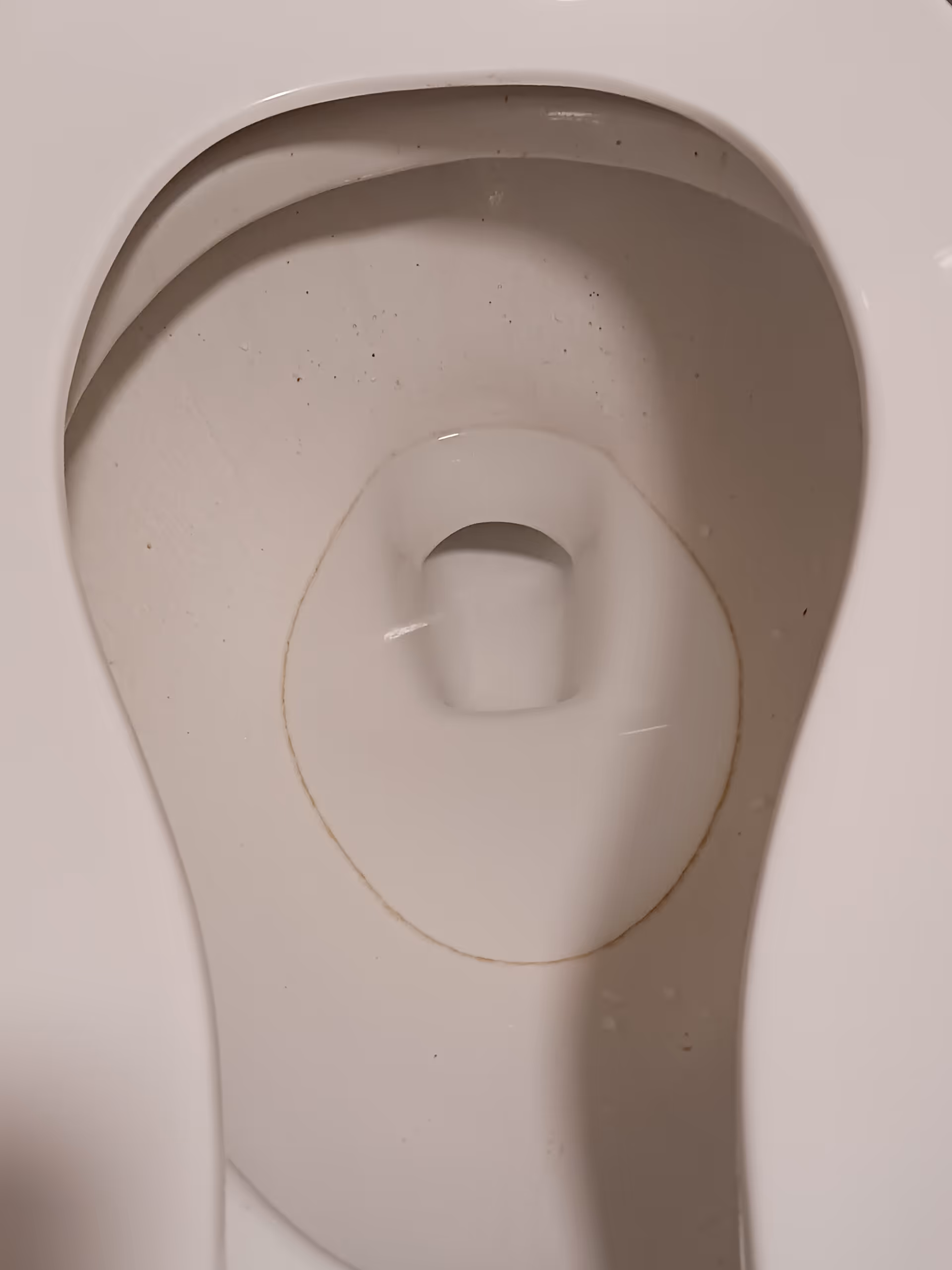 Close-up of a white toilet bowl interior with seat raised.