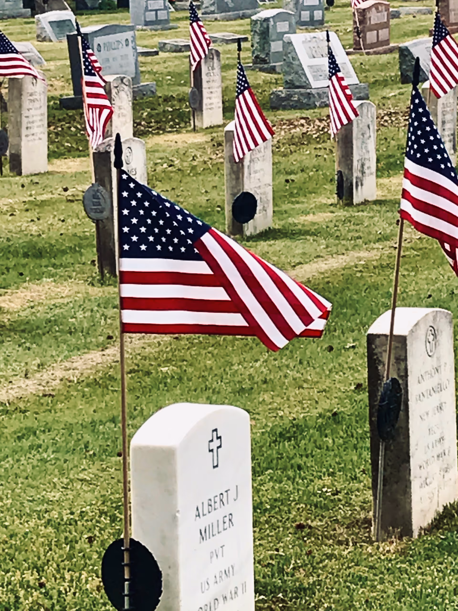 Cemetery with numerous gravestones and multiple American flags in a grassy field.