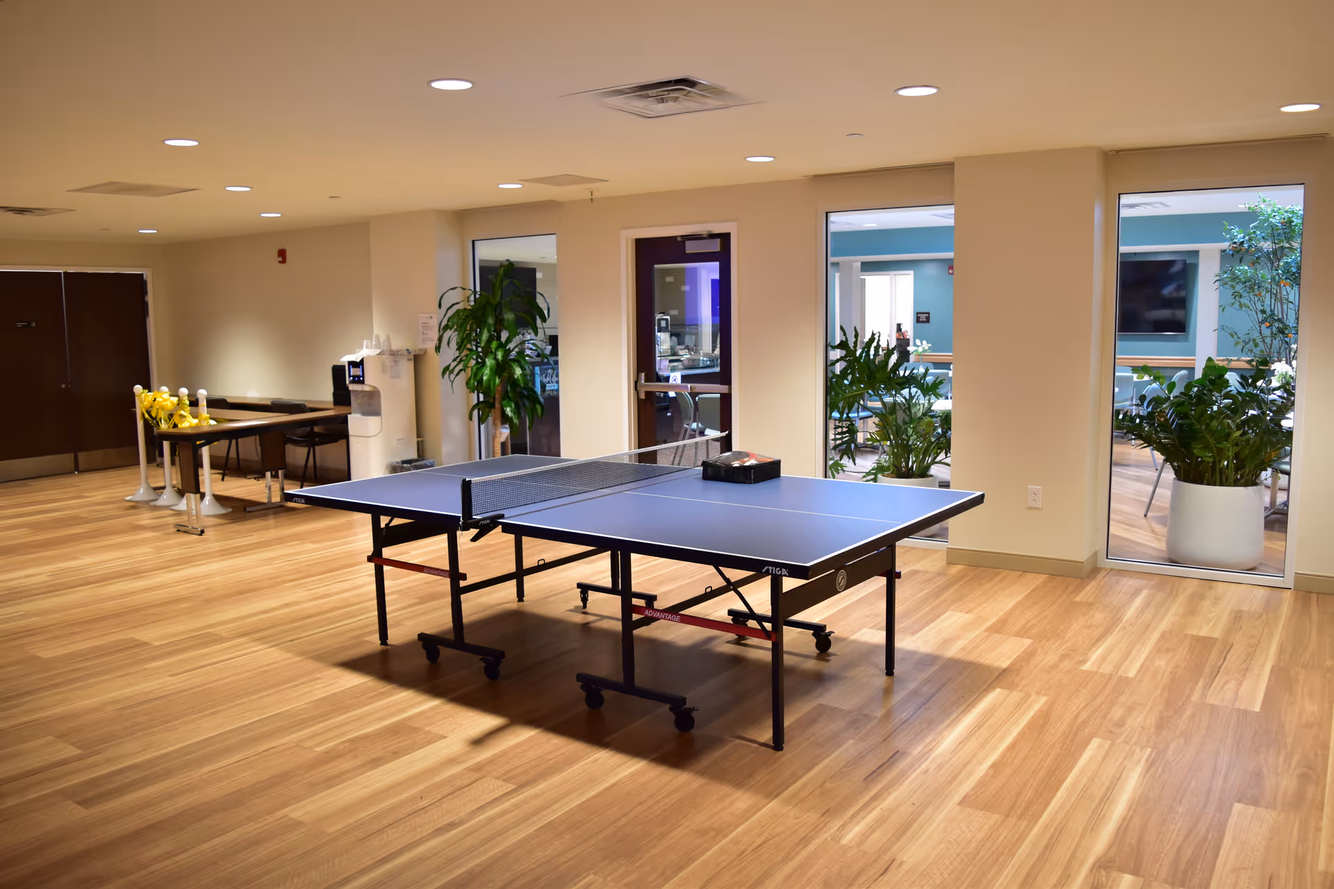 Indoor recreation area featuring a table tennis table, plants, and large windows