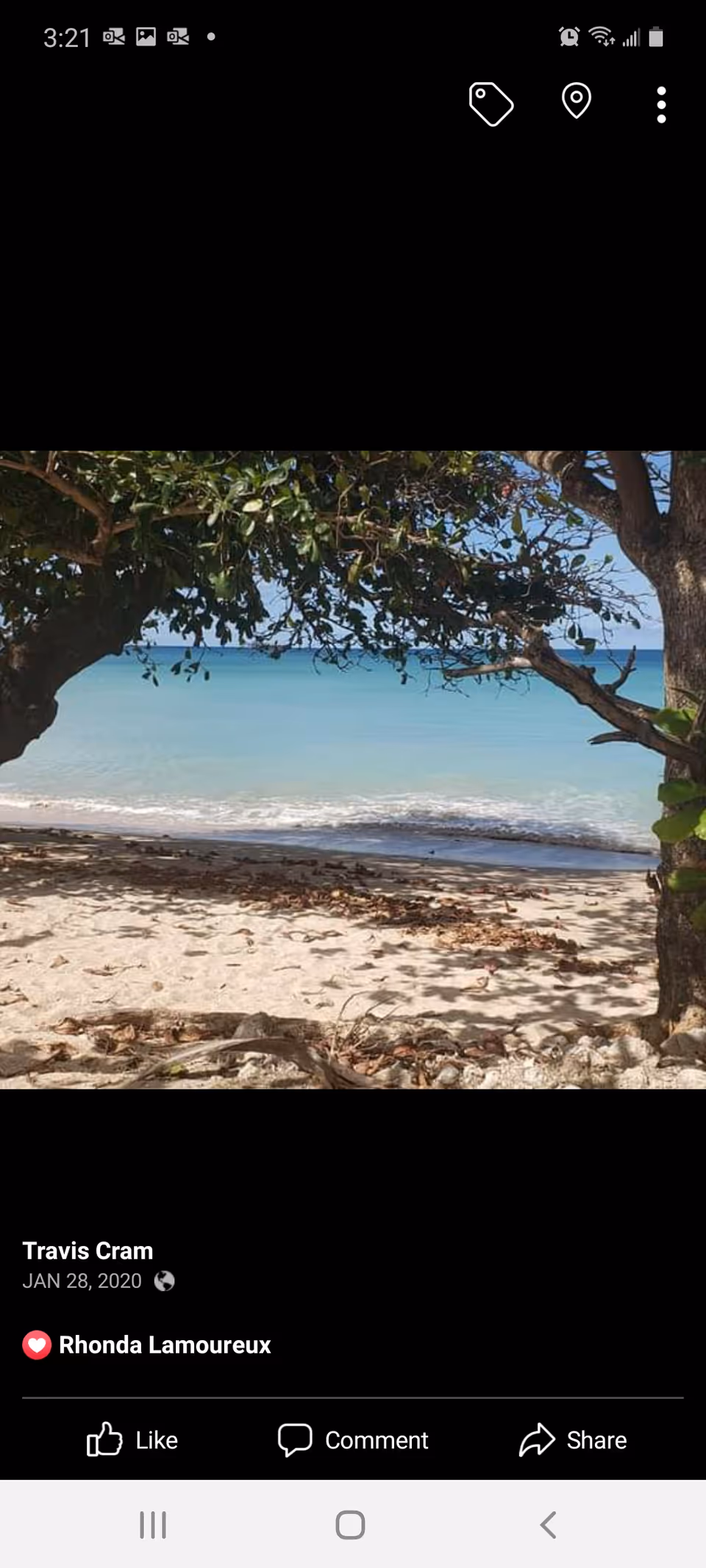 A tropical beach framed by tree branches with blue-green water beyond the shore.