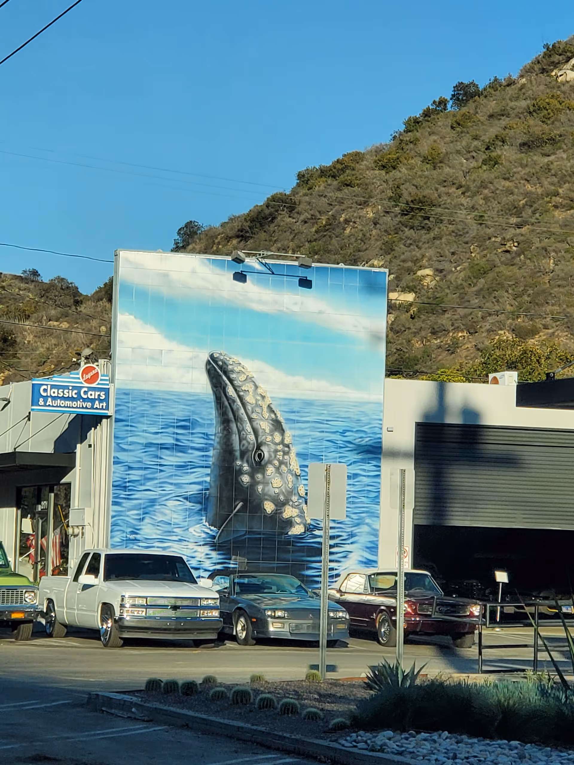 Giant mural of a sea creature rises from blue water, with parked cars in front.