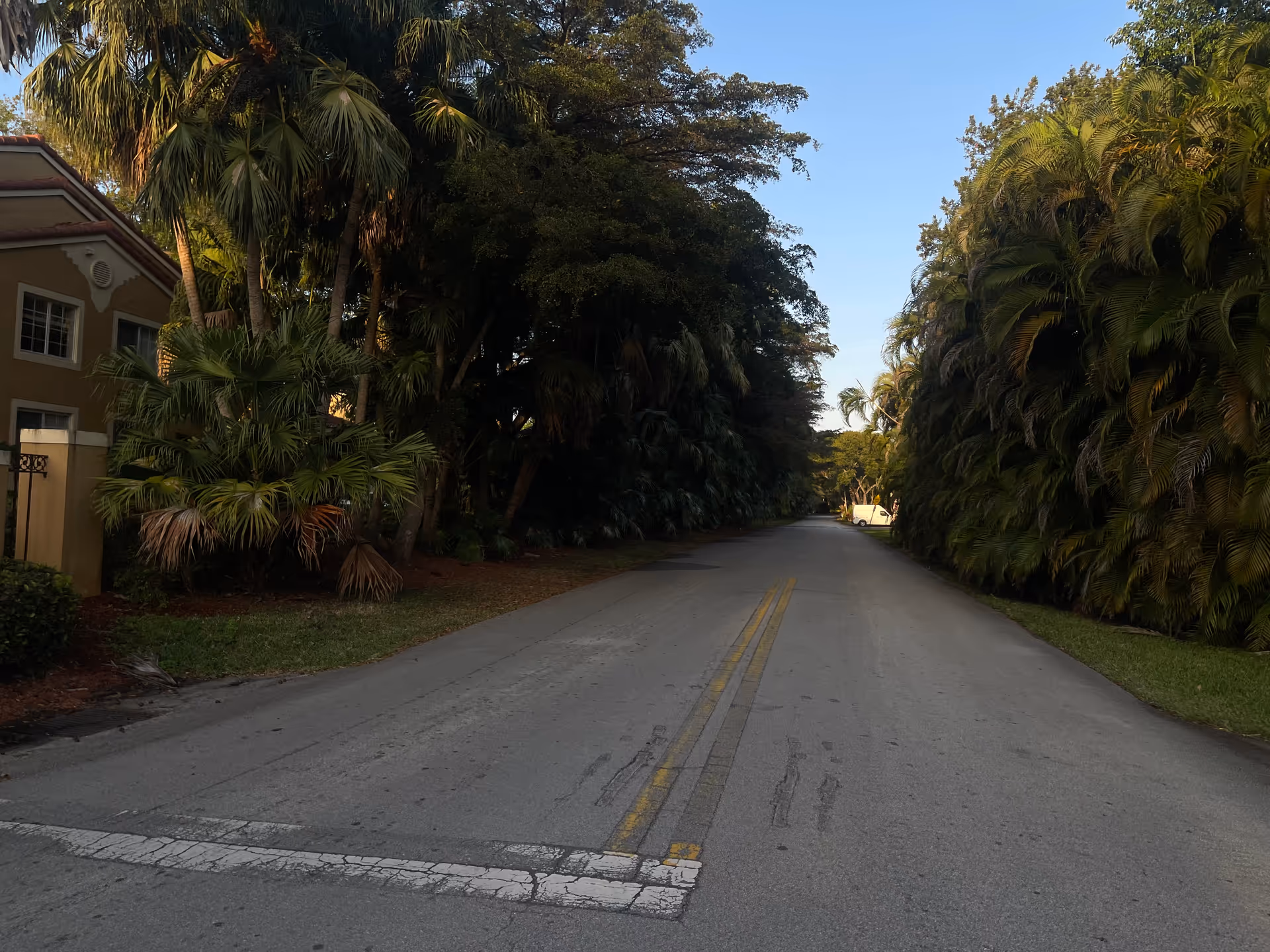 Long road lined with palm trees and dense tropical shrubs beside a facility.