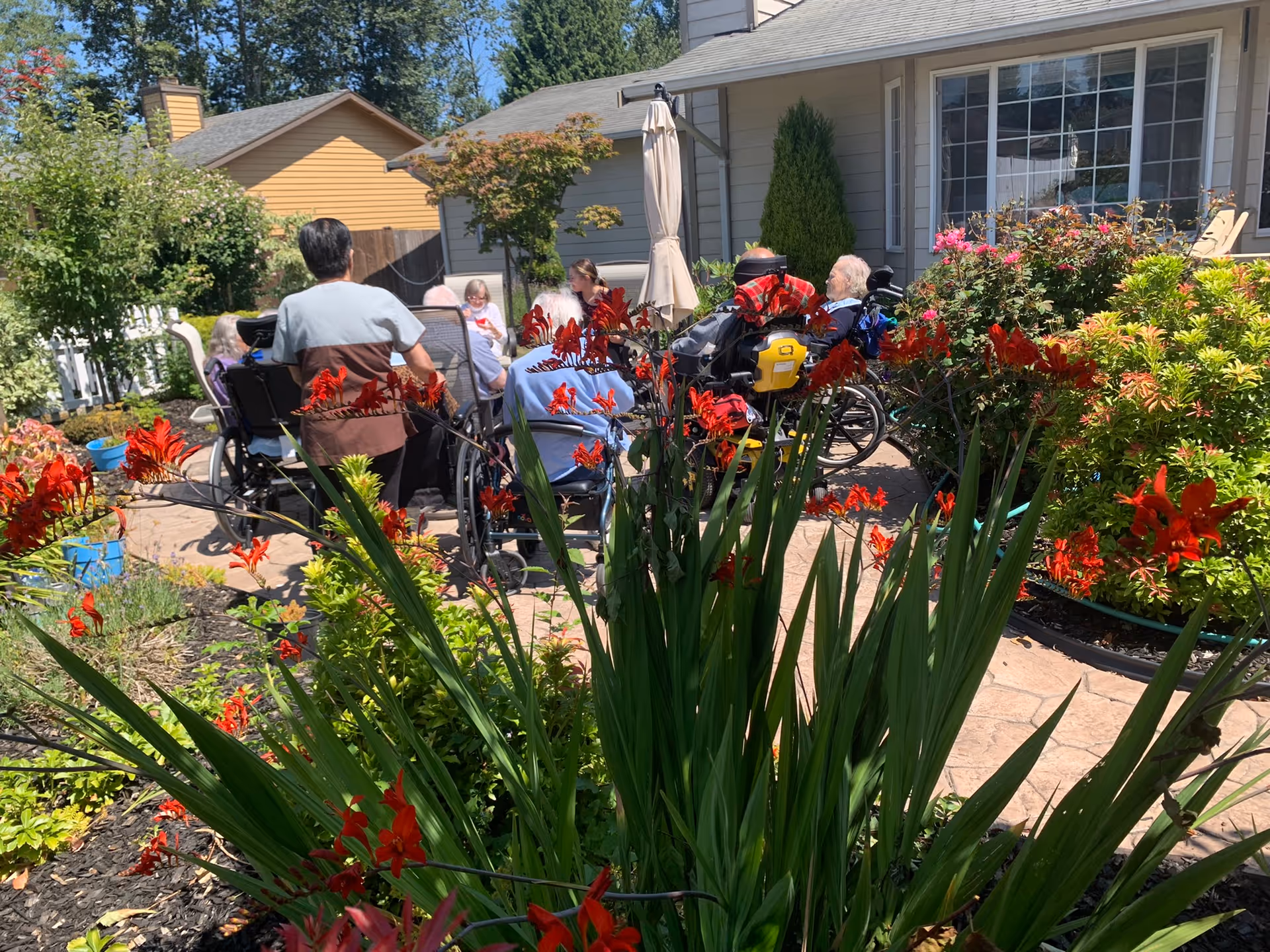 Group of seniors in wheelchairs gathered on an outdoor patio with flowers.