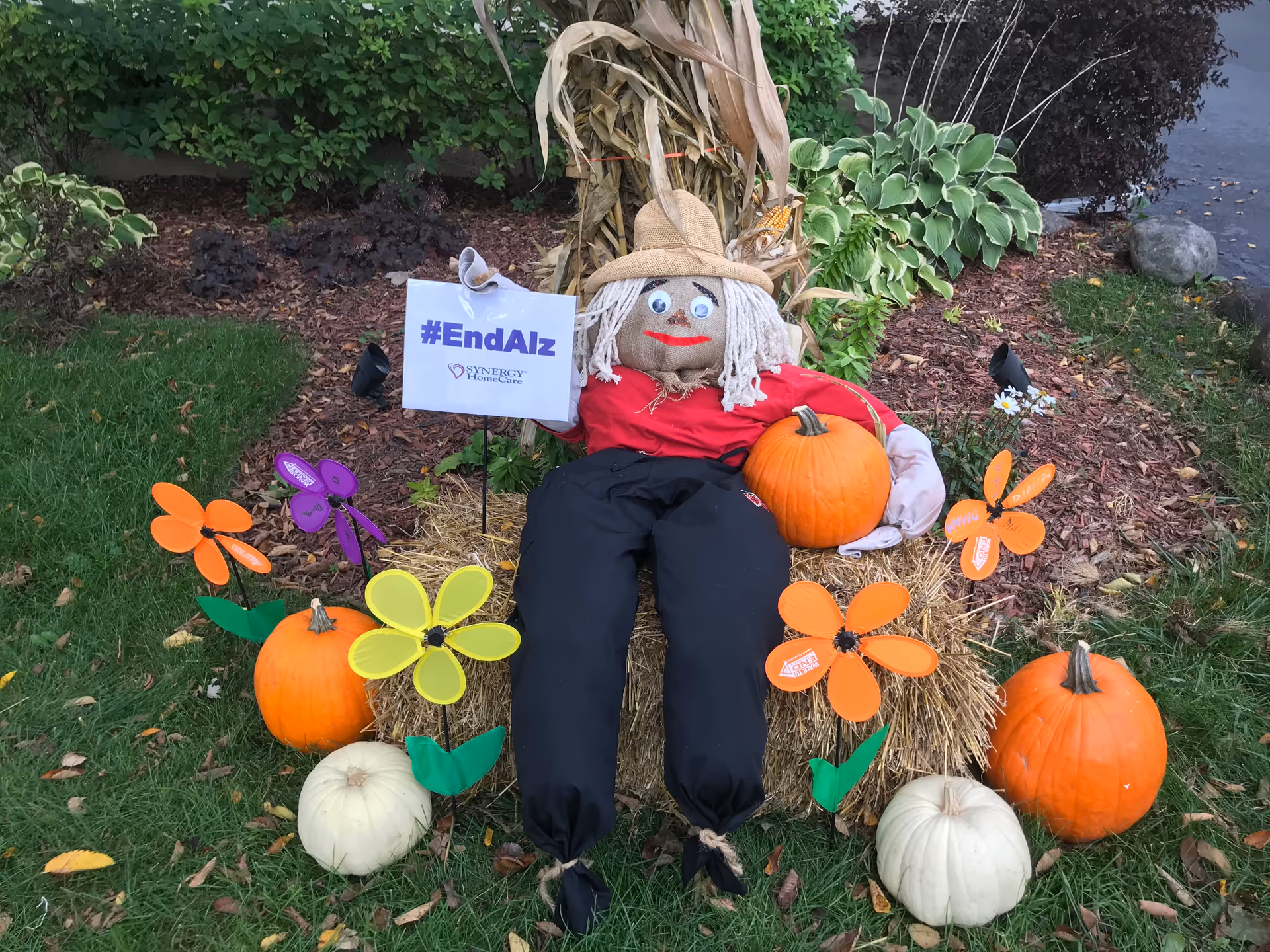 Outdoor fall display with scarecrow, pumpkins, hay bales, and SYNERGY HomeCare sign.