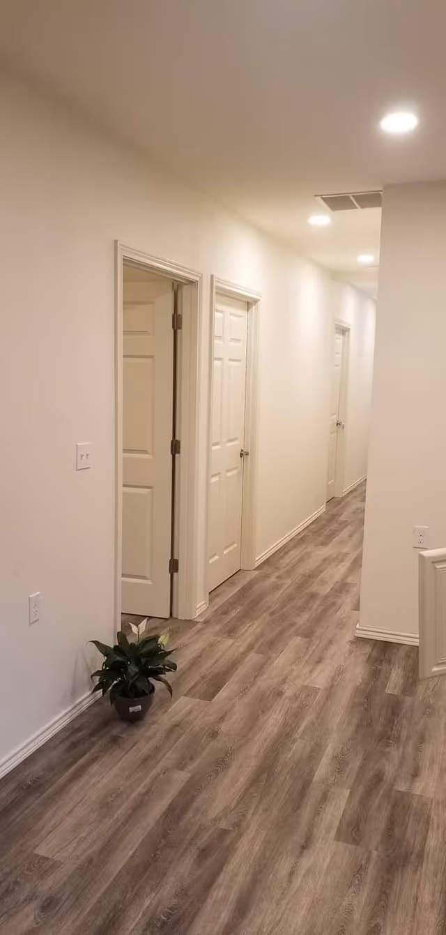 A bright hallway with multiple doors, wood-look floor, and a potted plant.