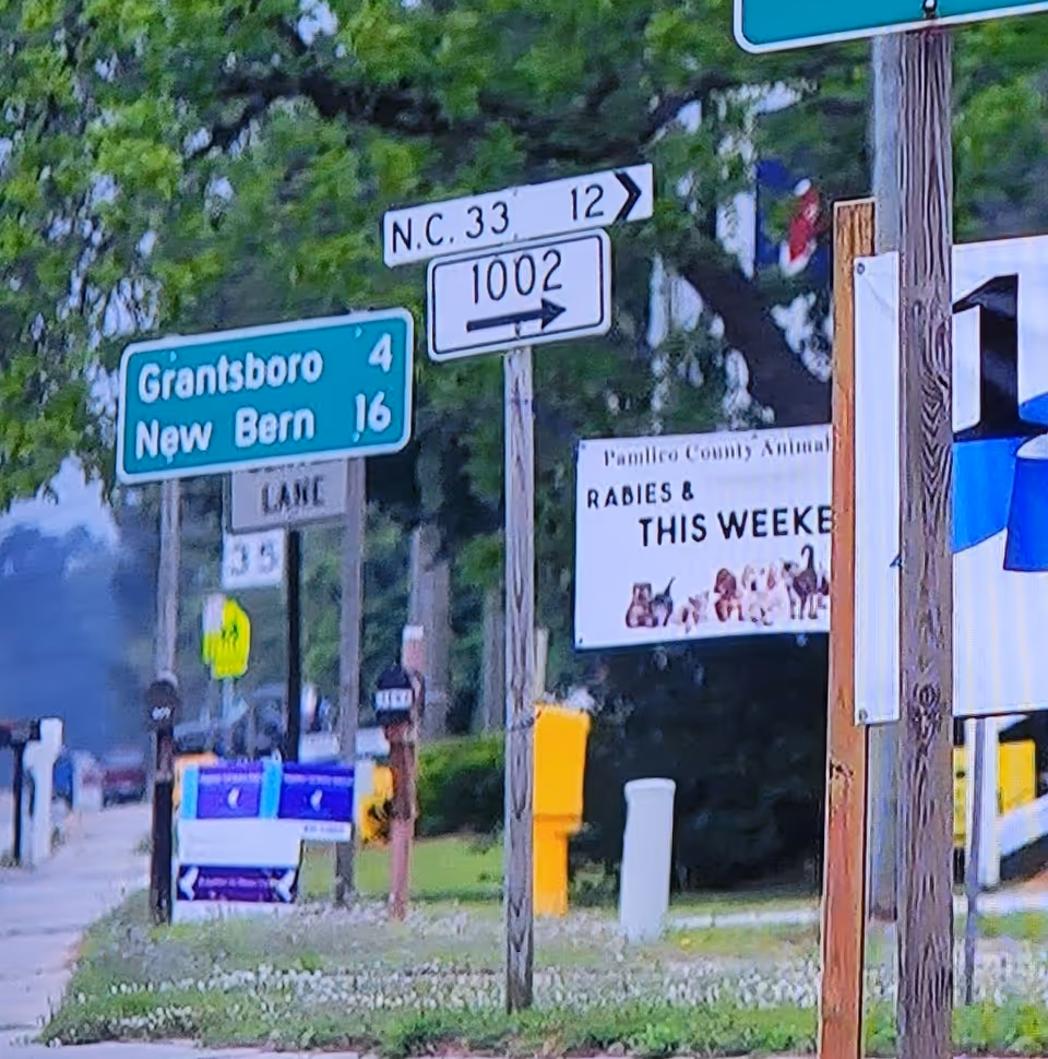 Street signs and utility poles along a sidewalk with trees in the background.