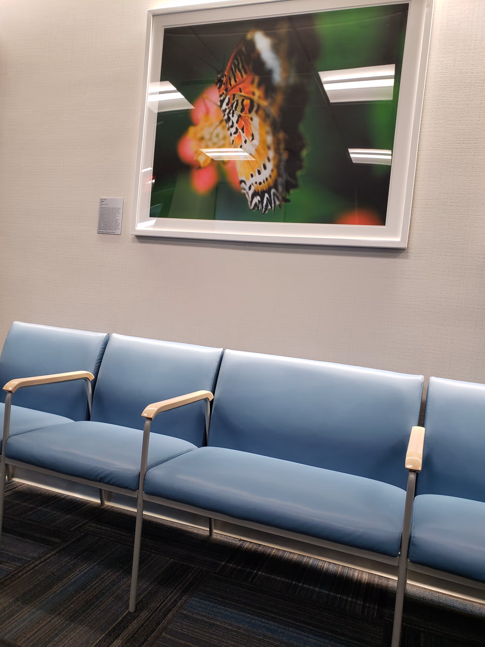 A row of light blue waiting chairs along a beige wall with butterfly artwork.