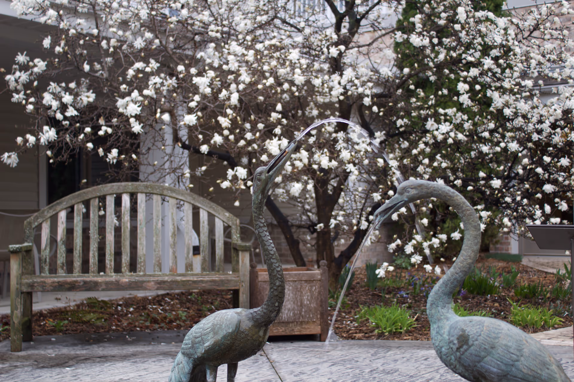 An outdoor courtyard featuring a wooden bench, blooming trees, and two bird fountain sculptures.