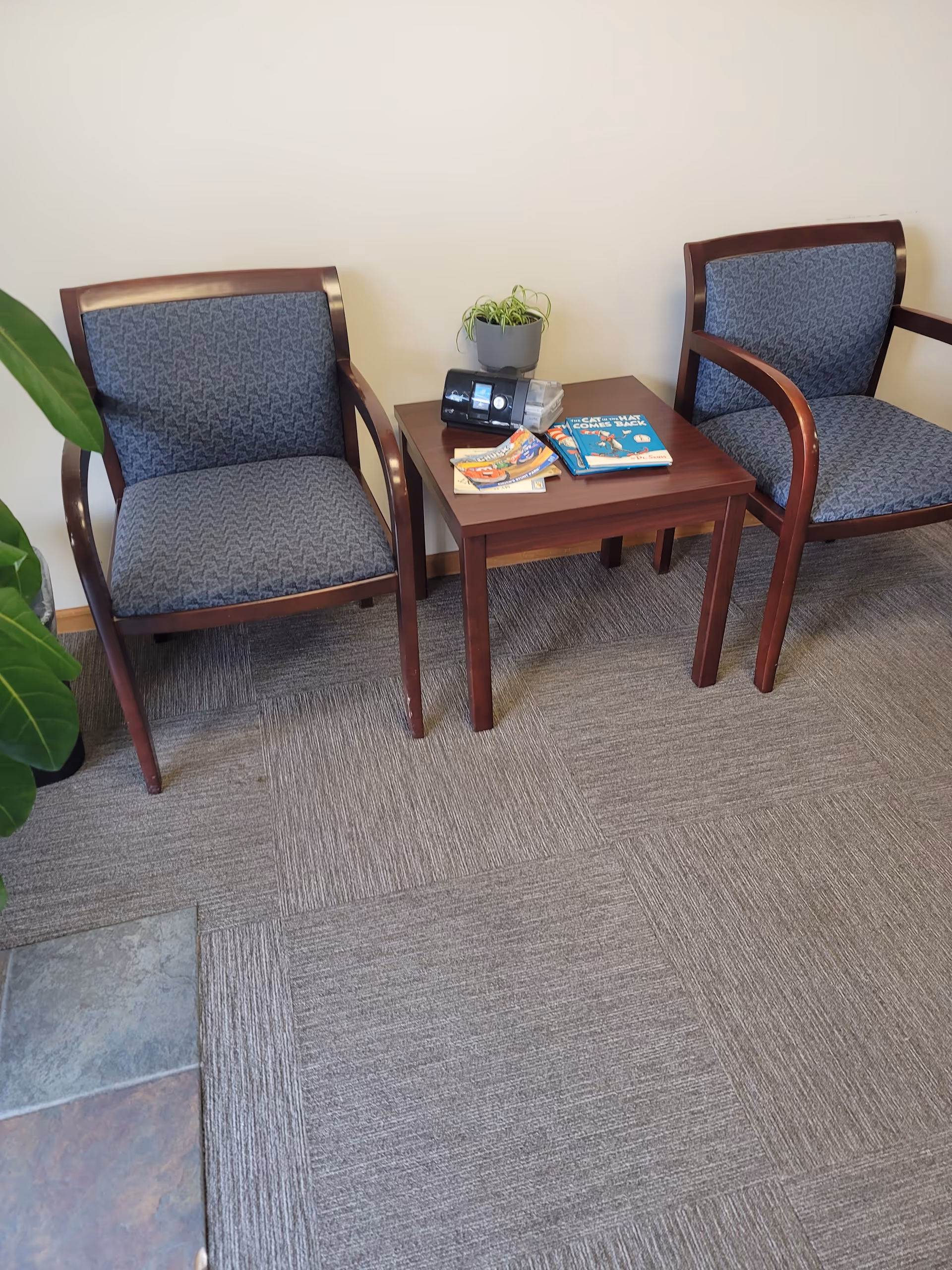 Two blue upholstered chairs flank a small wooden table with magazines and a plant.