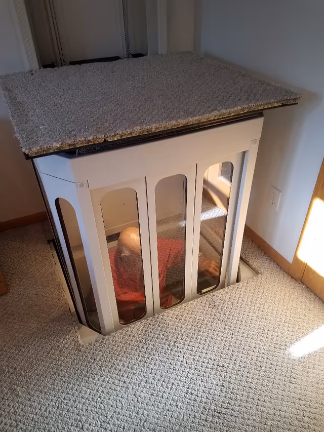 Small glass-enclosed residential elevator with a carpeted top and a person inside.