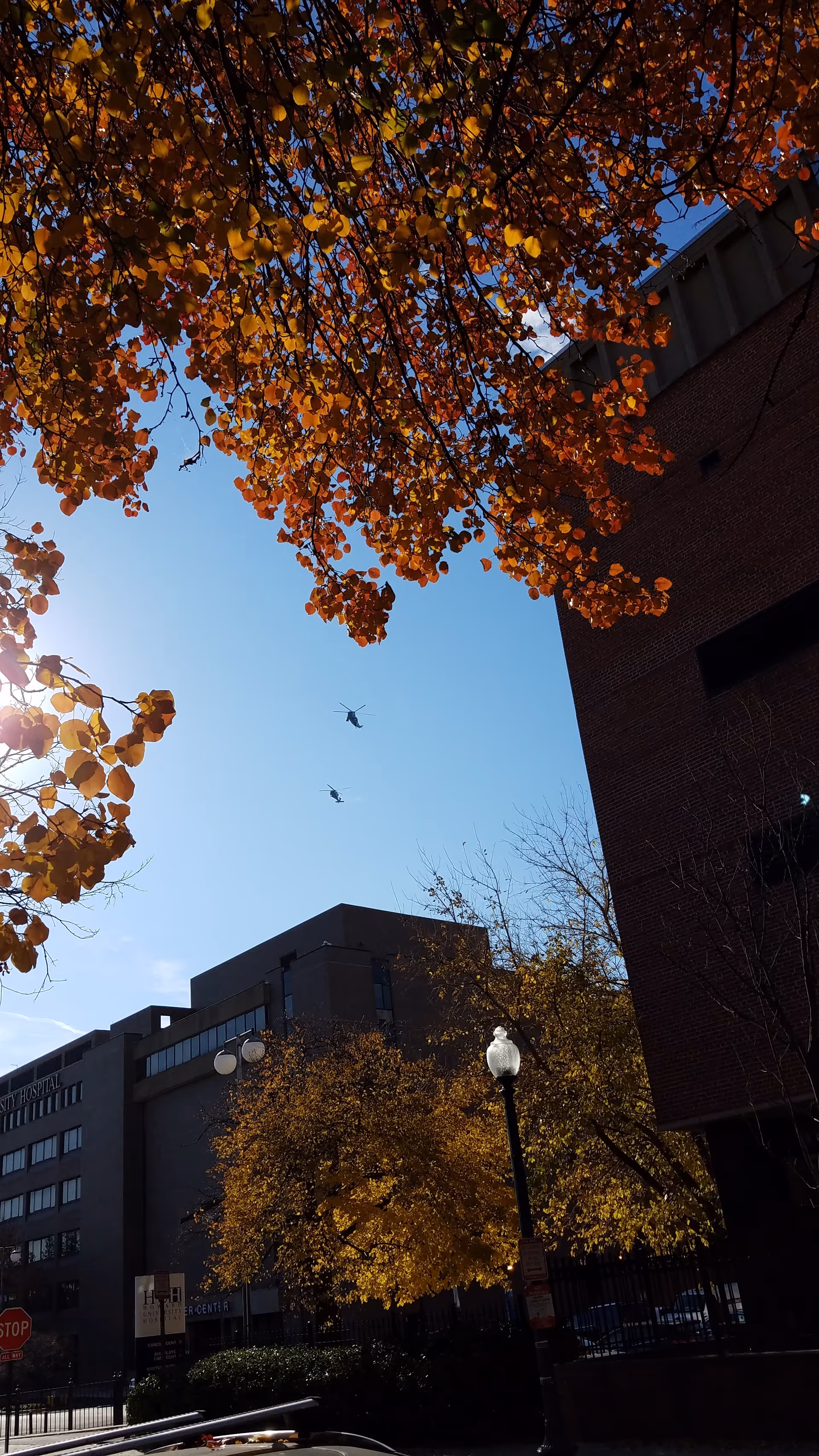 Autumn trees frame a brick hospital exterior along a city street under a clear blue sky.