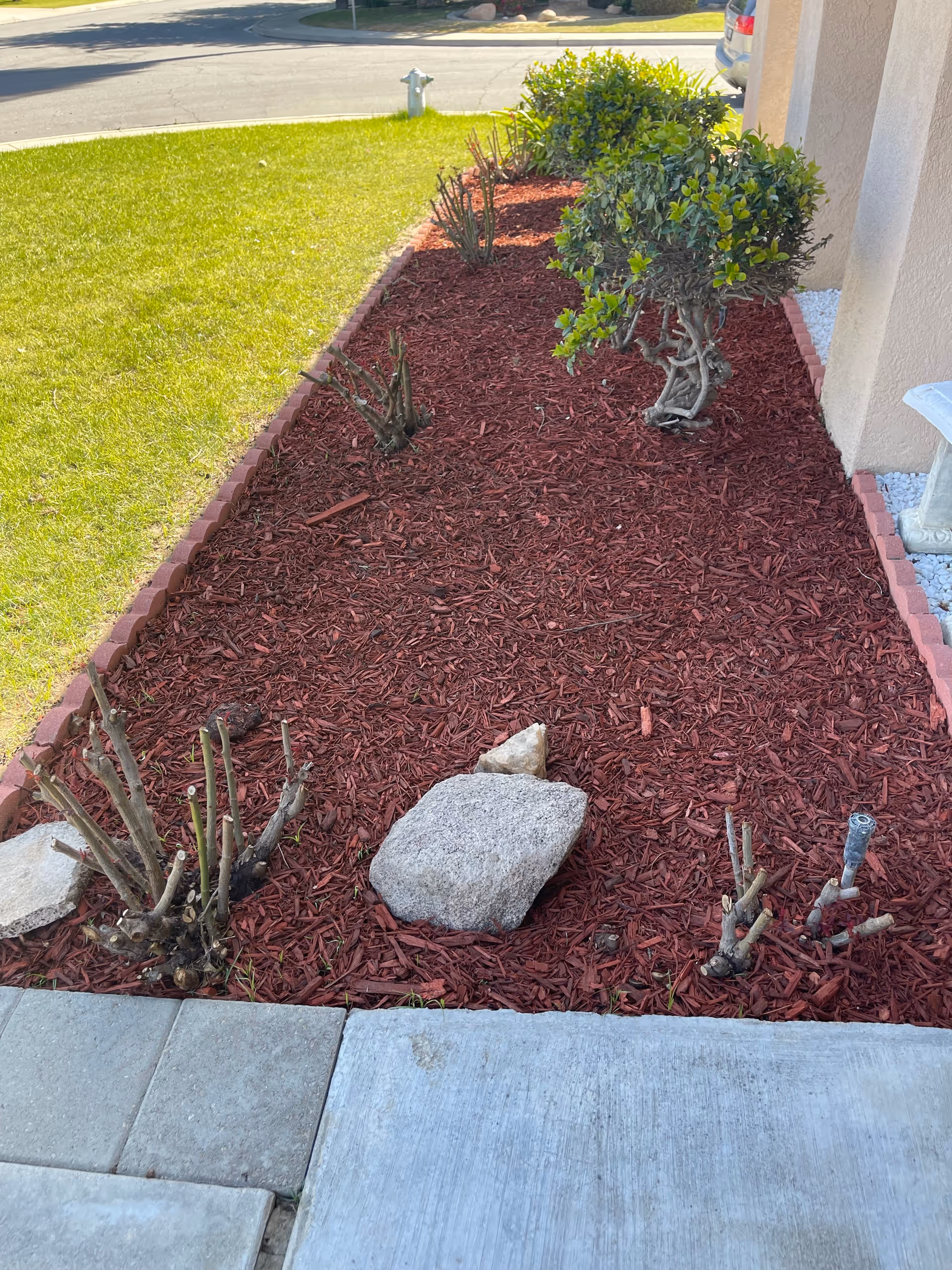 Exterior view of a front yard garden bed with red mulch and trimmed shrubs.