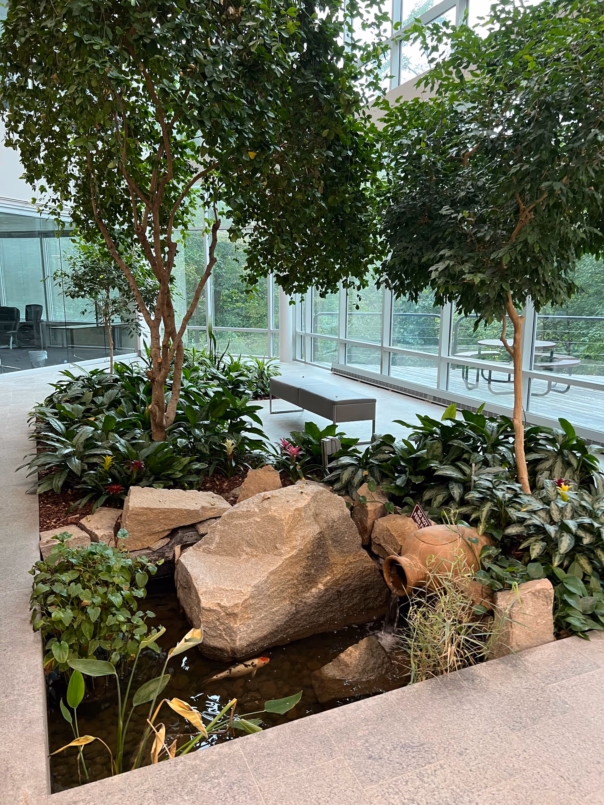 Indoor atrium with trees, rocks, a koi pond, and lush tropical plants.