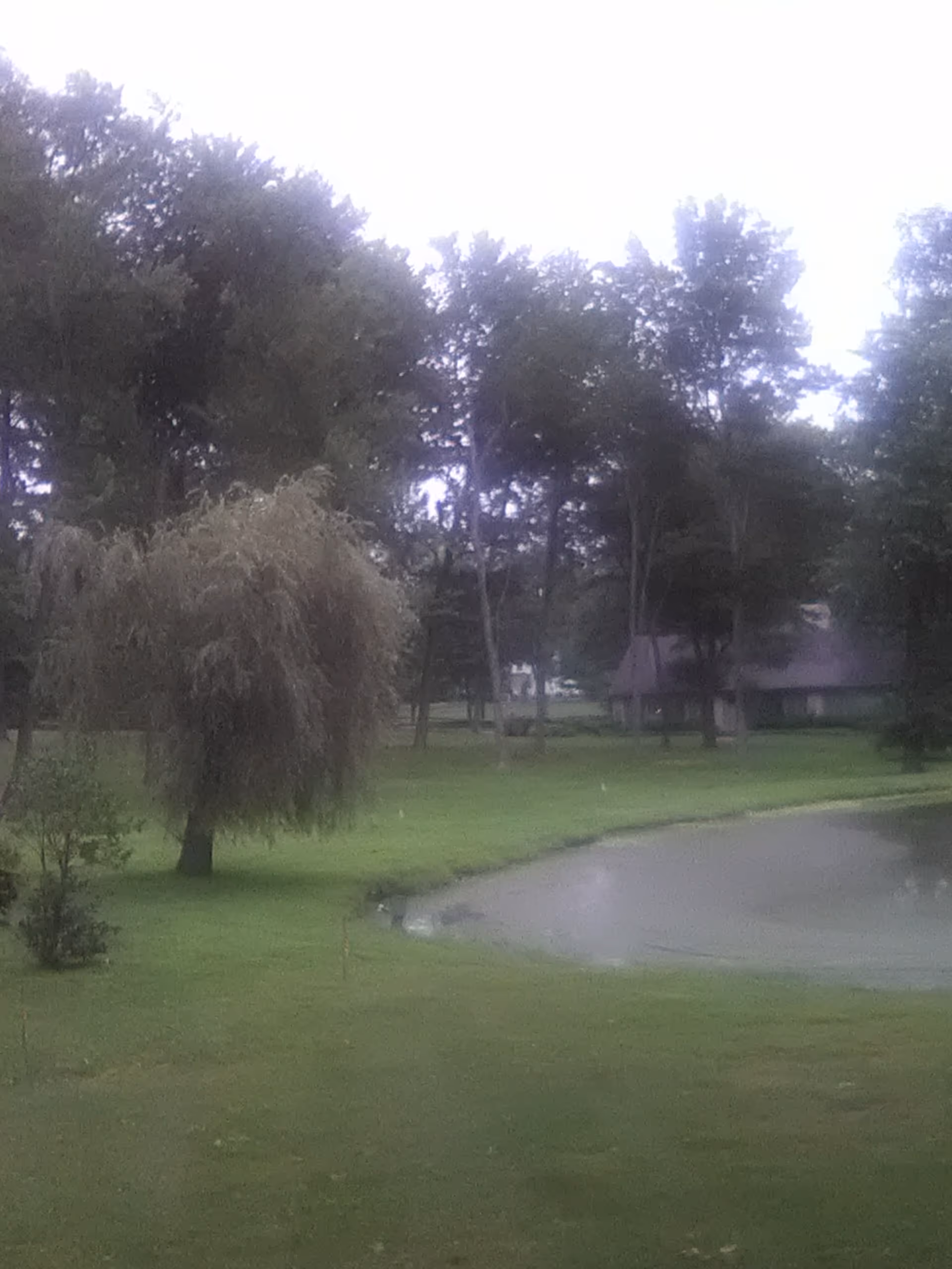 A tranquil grassy park area with trees, a small pond, and a building in the background.