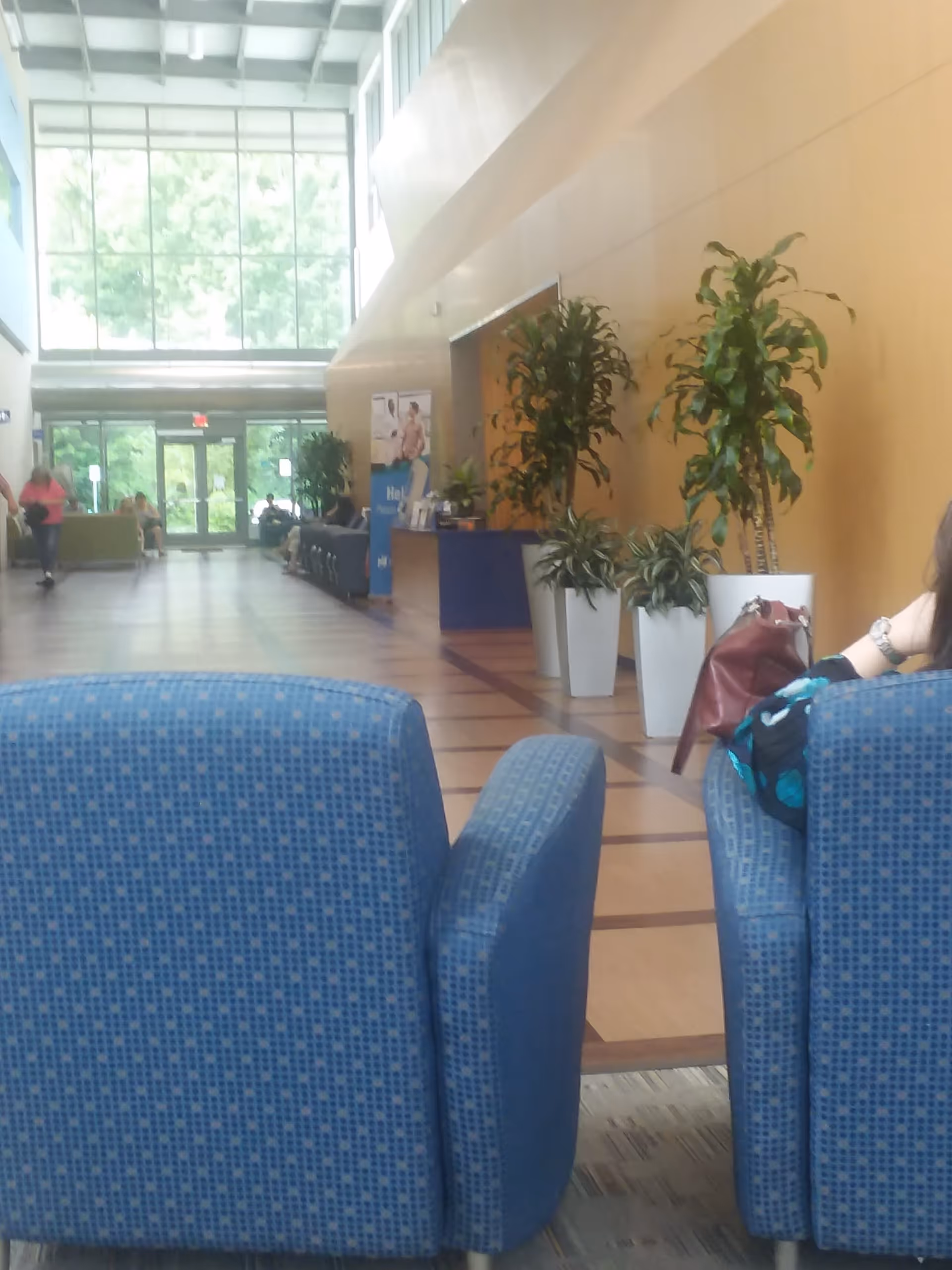 Interior lobby with blue patterned chairs, tall plants, and glass doors at reception.