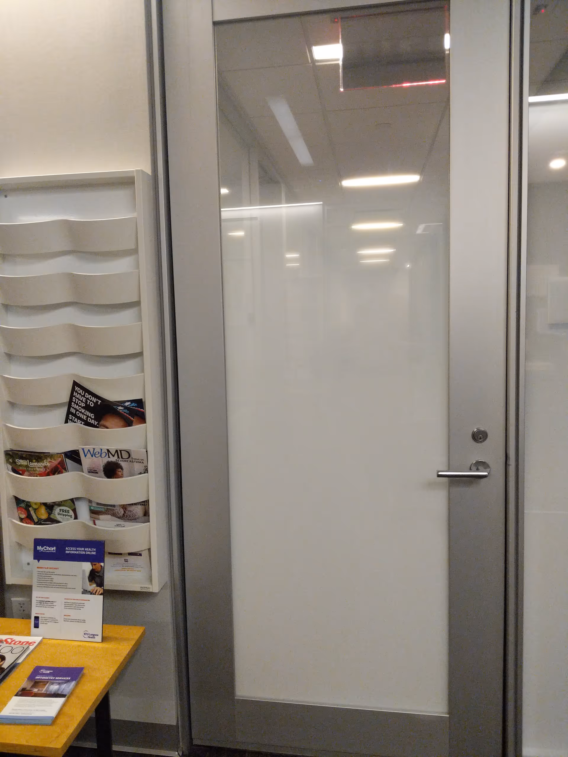 Frosted glass door with metal frame in a modern interior beside a brochure rack.