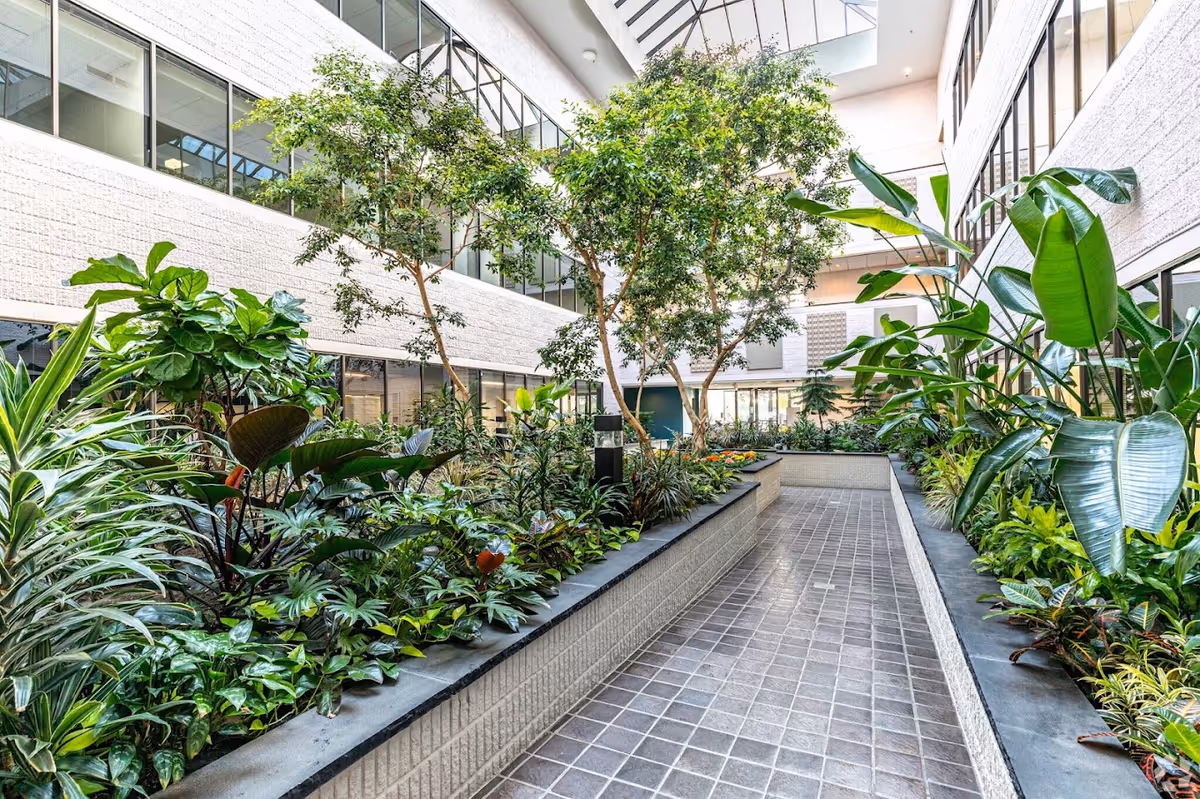 Indoor courtyard with tropical plants and a tiled walkway between planters.