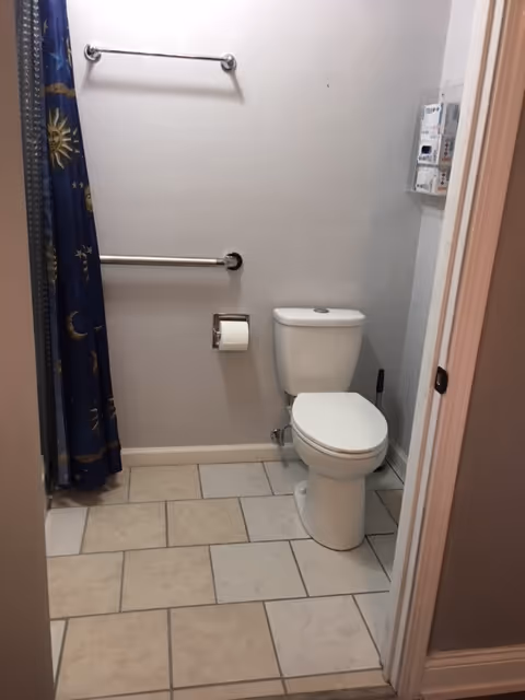 Small bathroom with toilet, grab bars, toilet paper, and a blue celestial shower curtain.