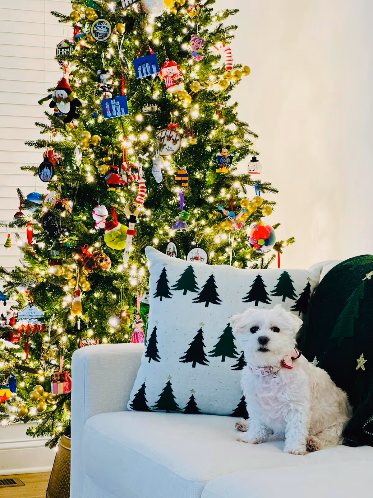 Decorated Christmas tree glows beside a white couch with a small white dog.