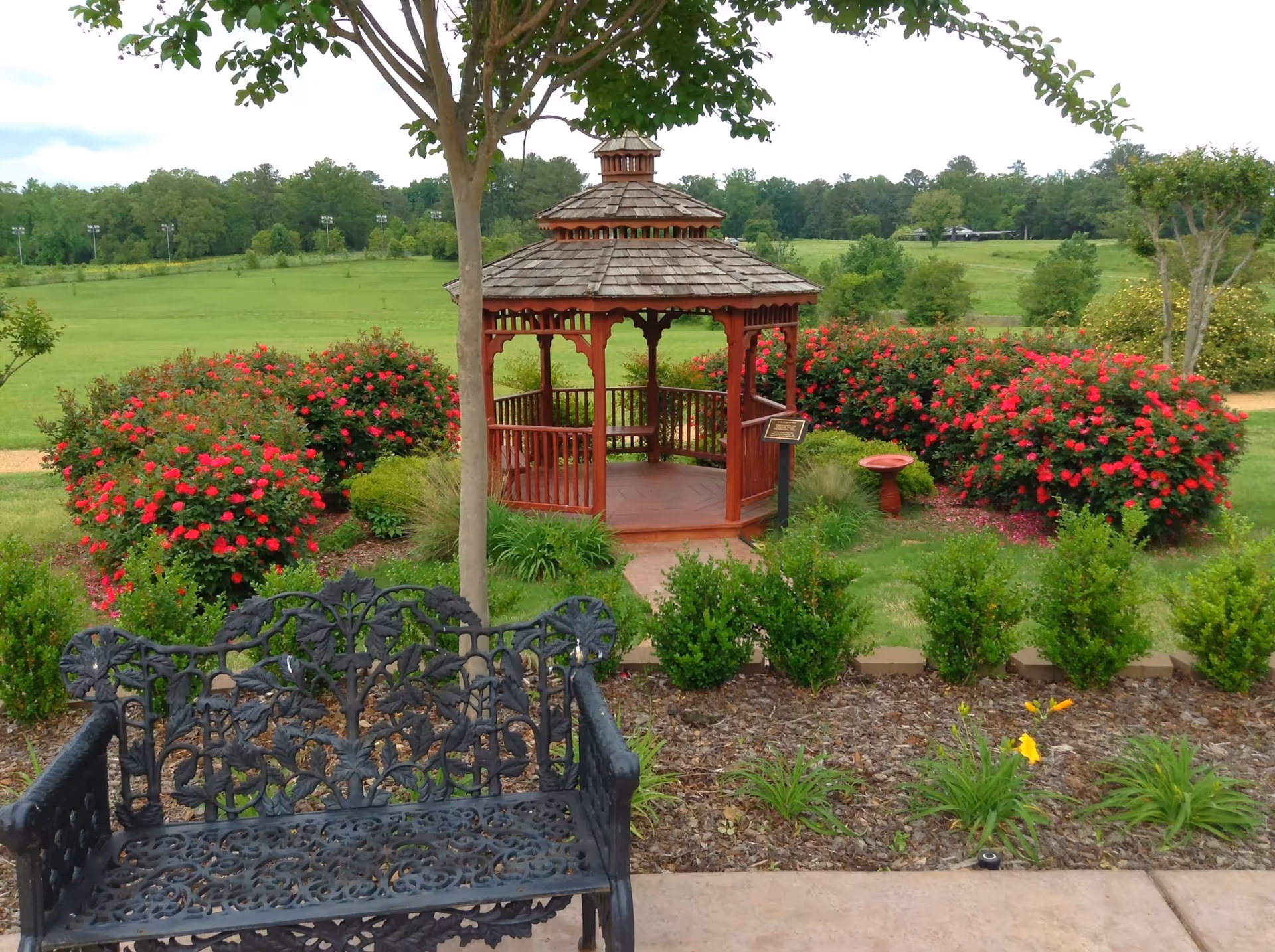 A wooden gazebo in a garden with red flowering bushes and a wrought iron bench.