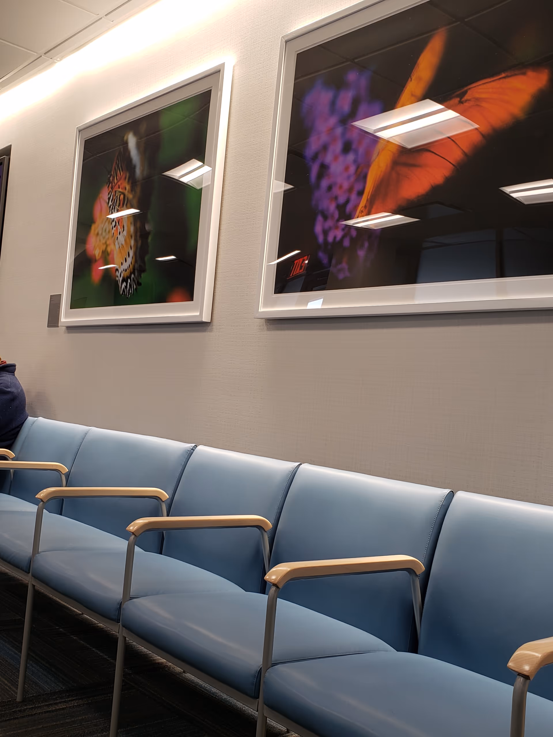 A row of light blue cushioned chairs with wood armrests along a wall with butterfly art.