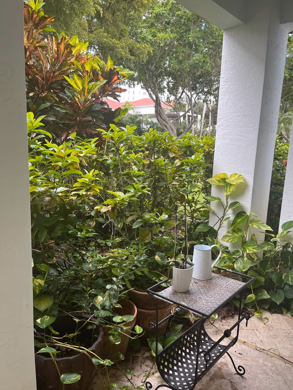 Small outdoor patio with potted plants and a watering can on a metal table.