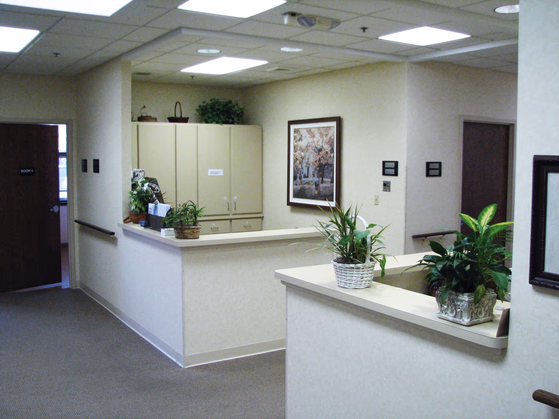 Reception desk area in a hallway with plants, cabinets, framed artwork.