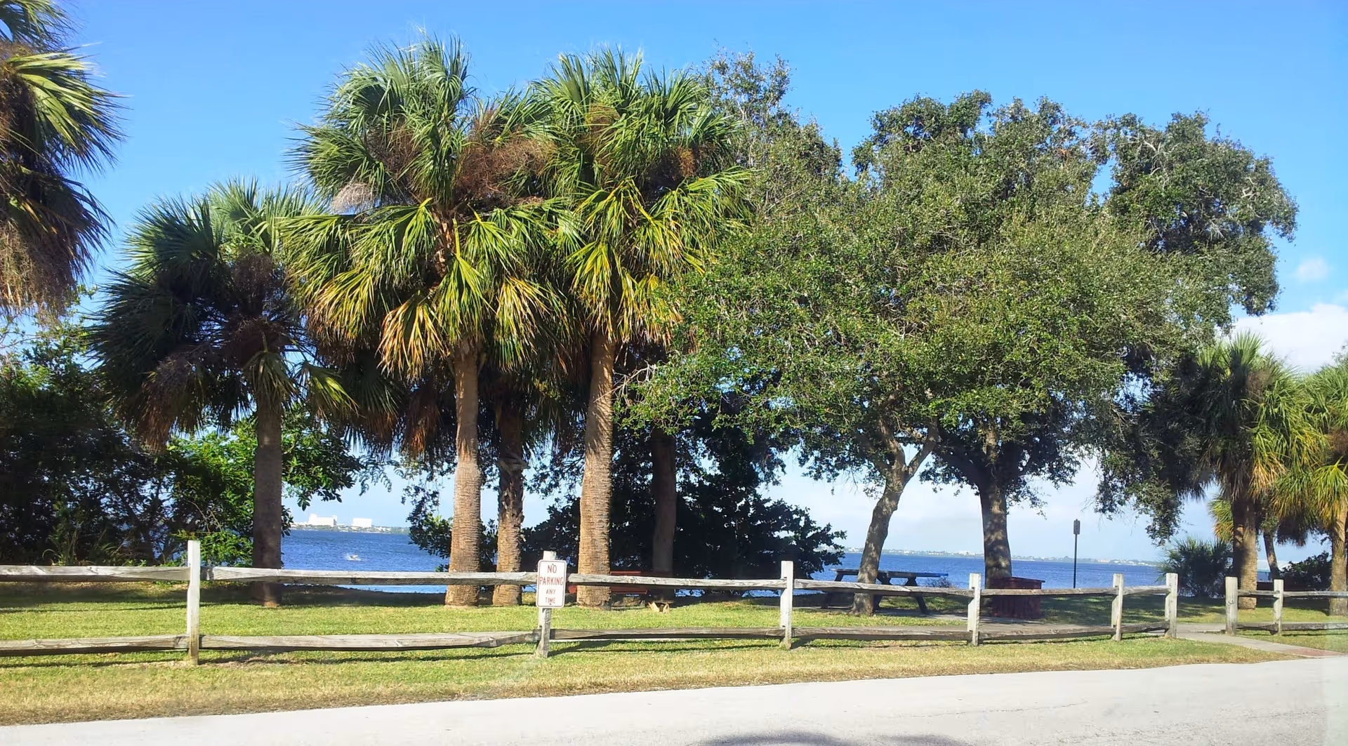 Coastal park scene with palm trees, a wooden fence, and ocean view.